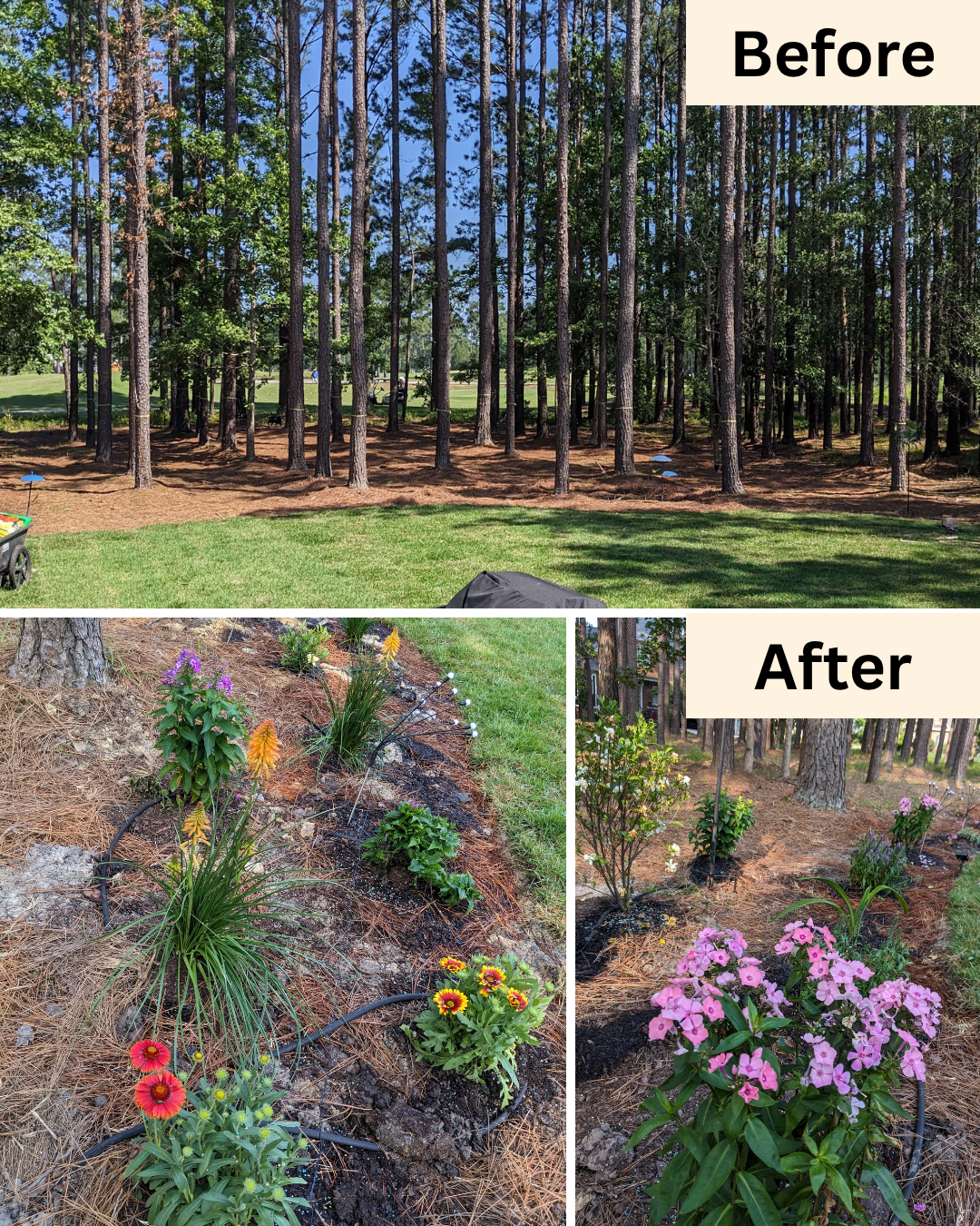 Large Yard Garden Install
