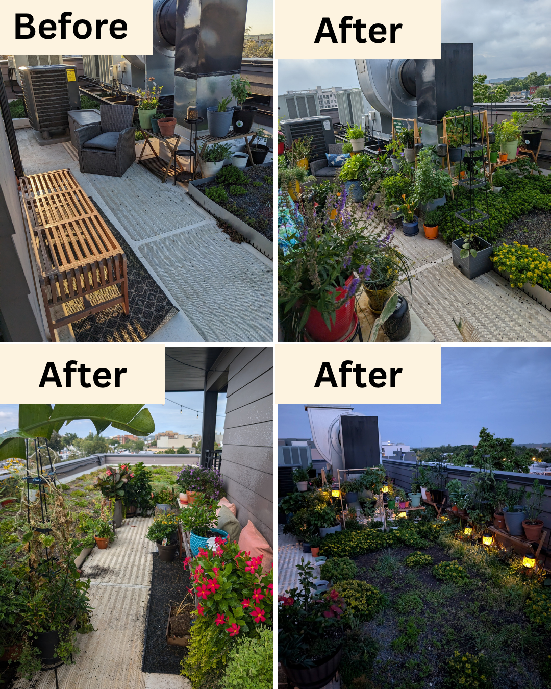 Rooftop Garden Install on H ST NE