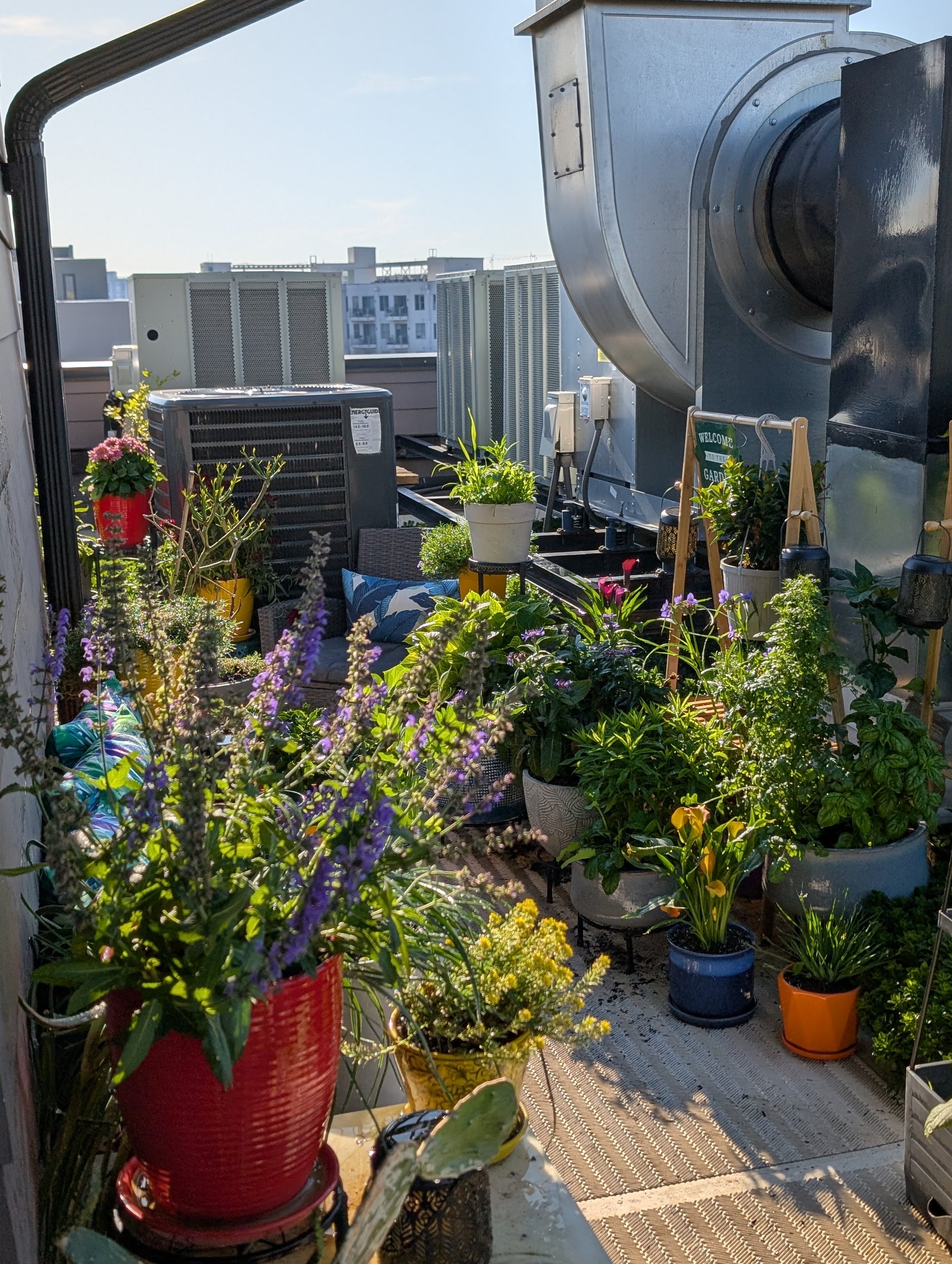 Rooftop Garden Install on H ST NE