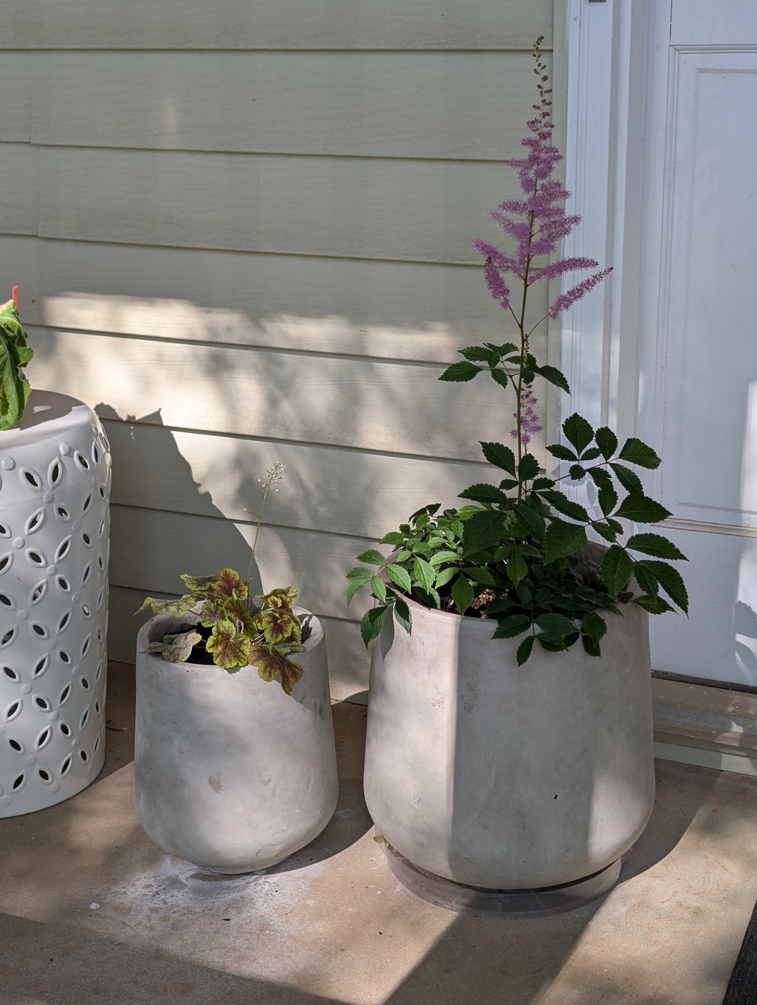 Potted Plant Drop Off for Event