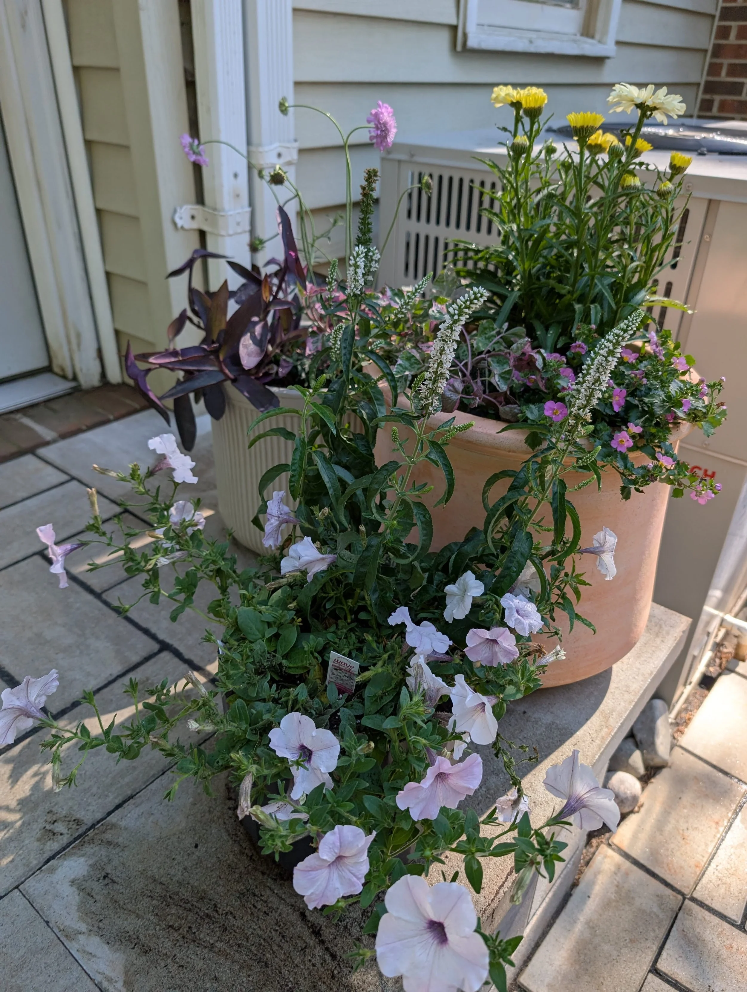 Potted Plant Drop Off for Baby Shower
