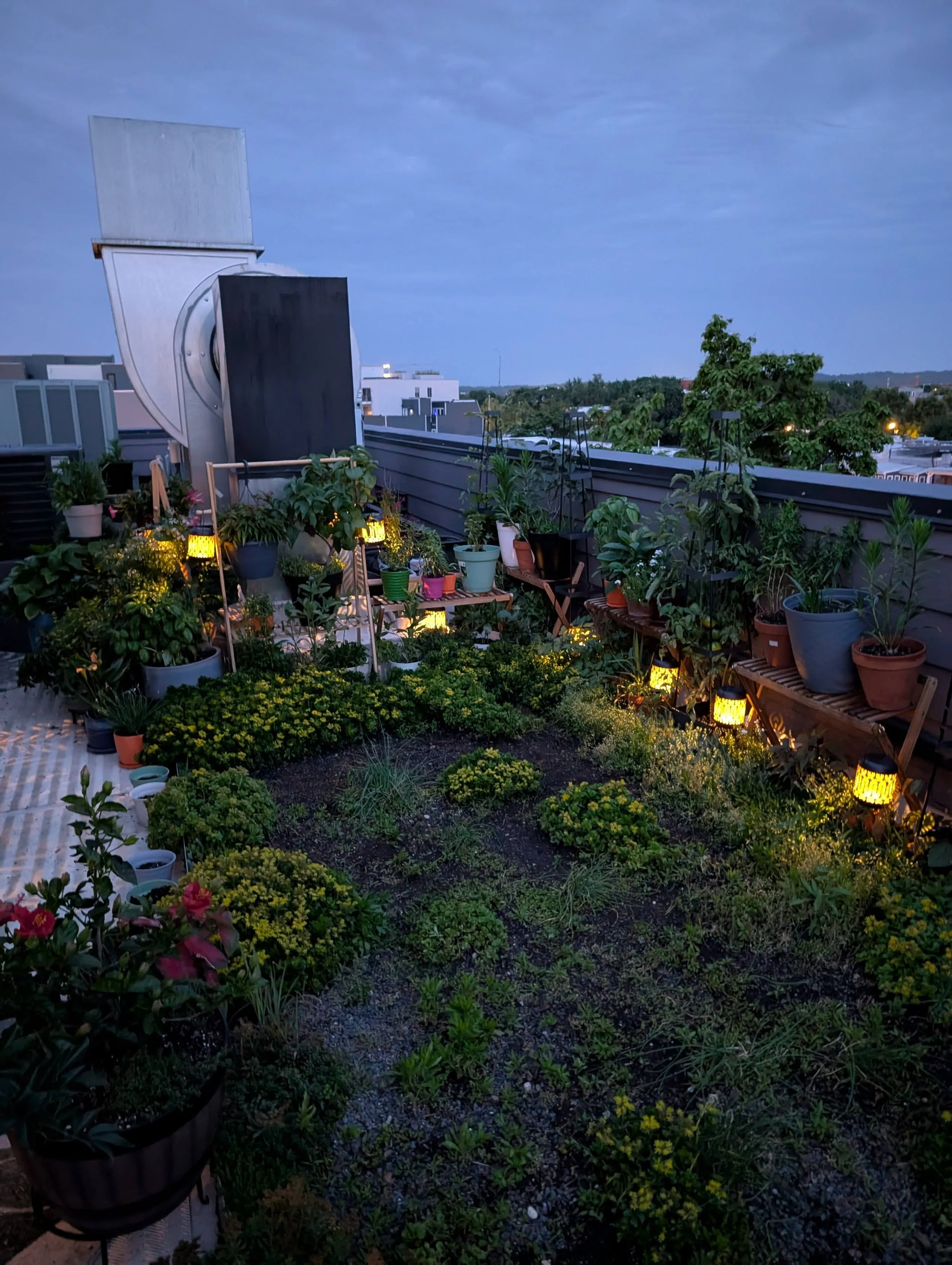 Rooftop Garden Install on H ST NE