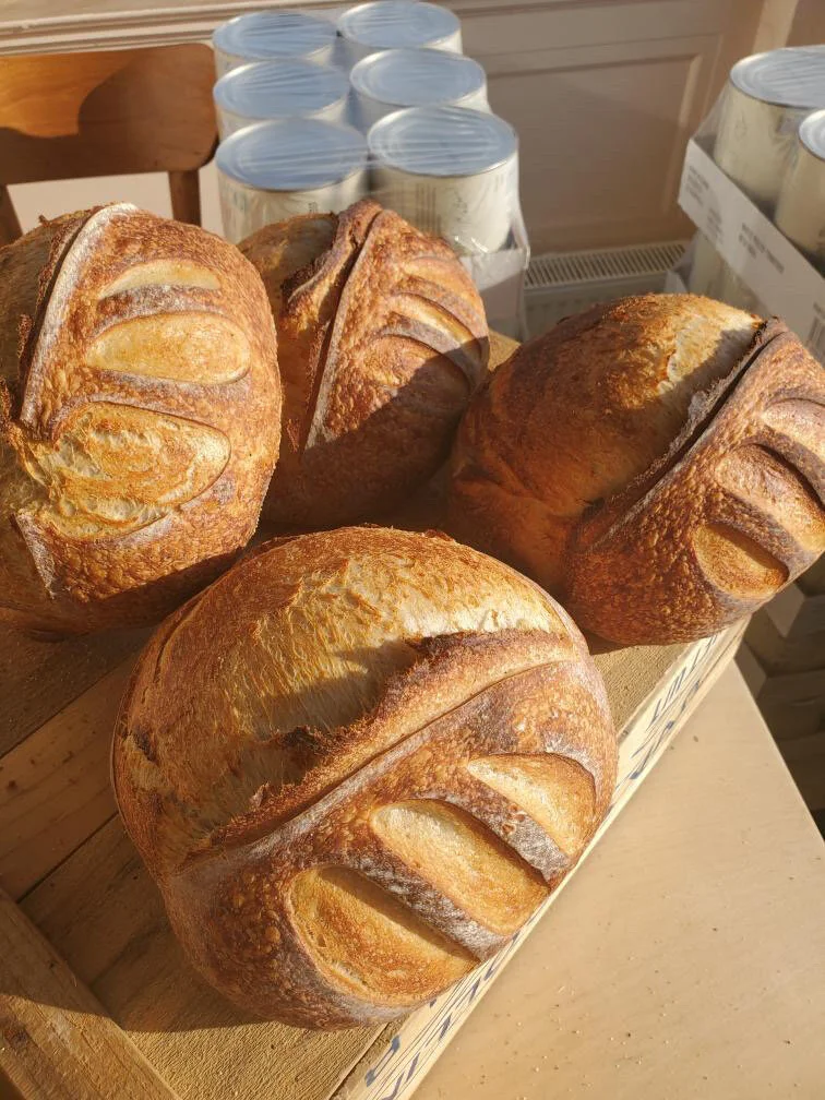 059AC035-0663-40EA-9123-BB59AF0FFD19 2.JPG