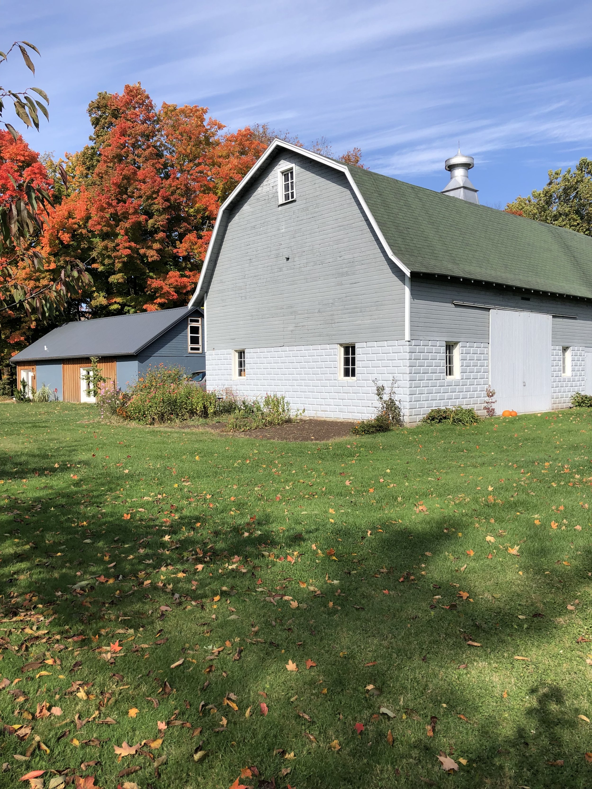 Full Strawberry Moon Slow Flow on Schmuhl Farm with Elizabeth Schmuhl