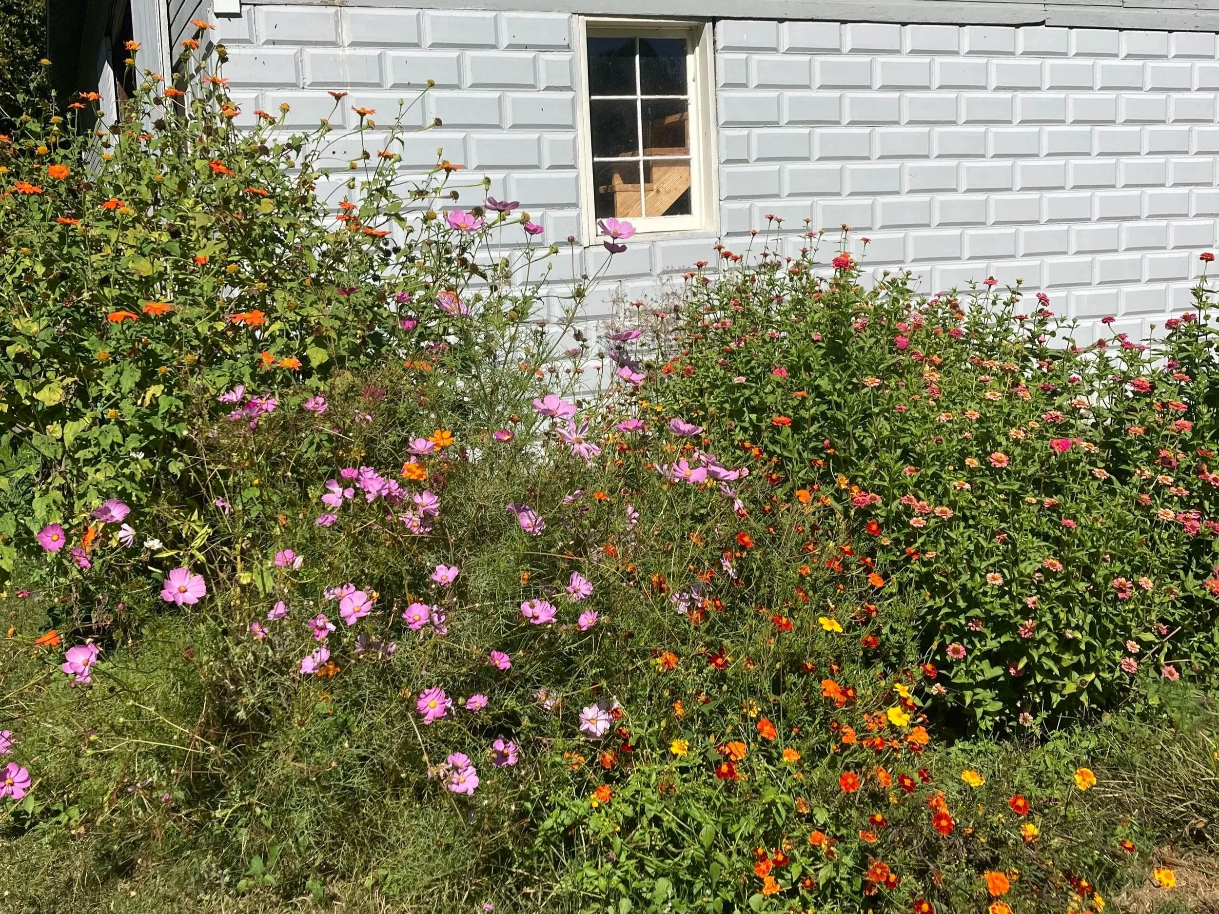Flow + Flower Workshop with Elizabeth Schmuhl