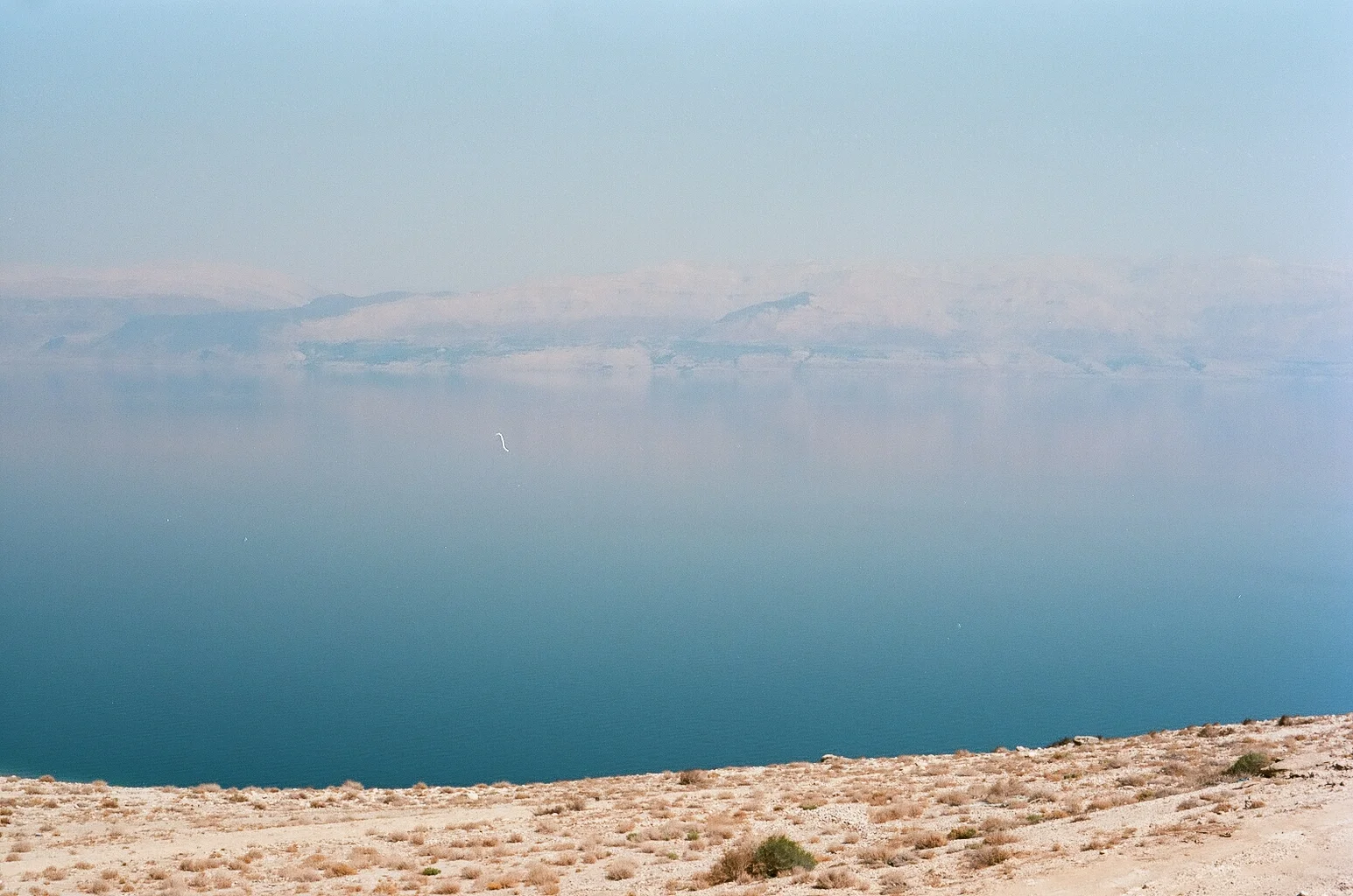 001028780036.jpg