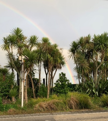 Look up! | ¡Mira hacia arriba!