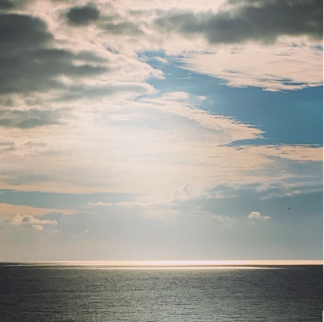 Waiheke is “Not to Be Missed!” | ¡No se pierda la isla Waiheke!