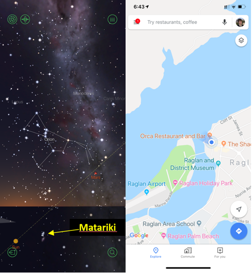 Kiwi Cowboy | Vaquero kiwi