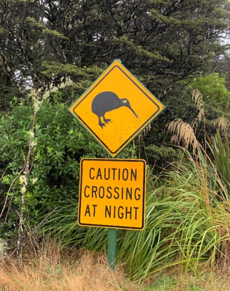 Road Trip to Wellington | Rumbo a Wellington