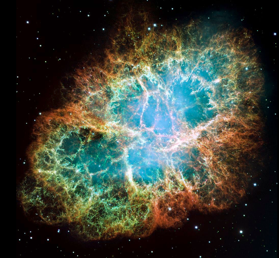 Lessons from the Kingfisher and a Strangled Vine | Lecciones del martín pescador y una vid estrangulada