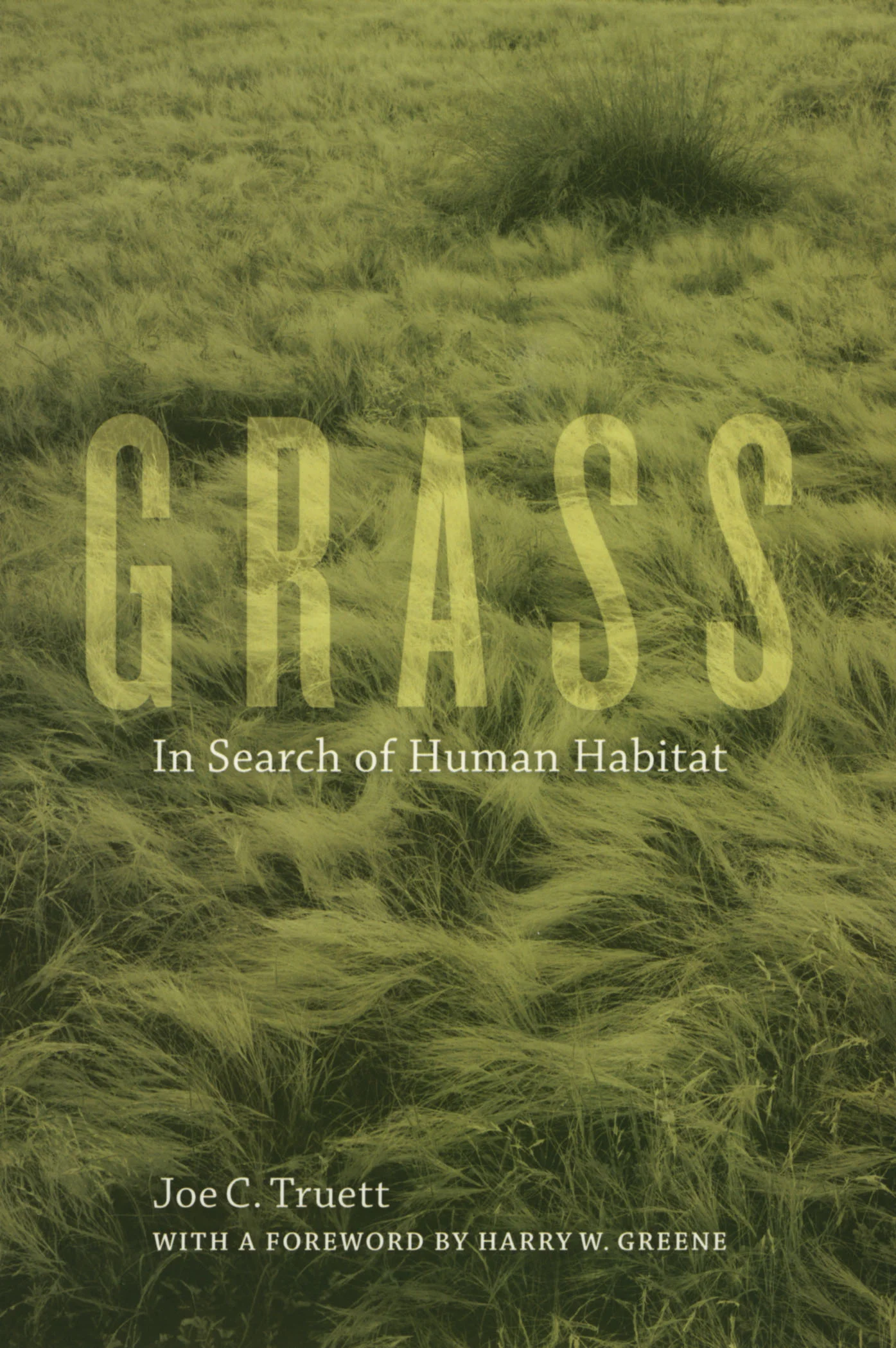 grass.jpg