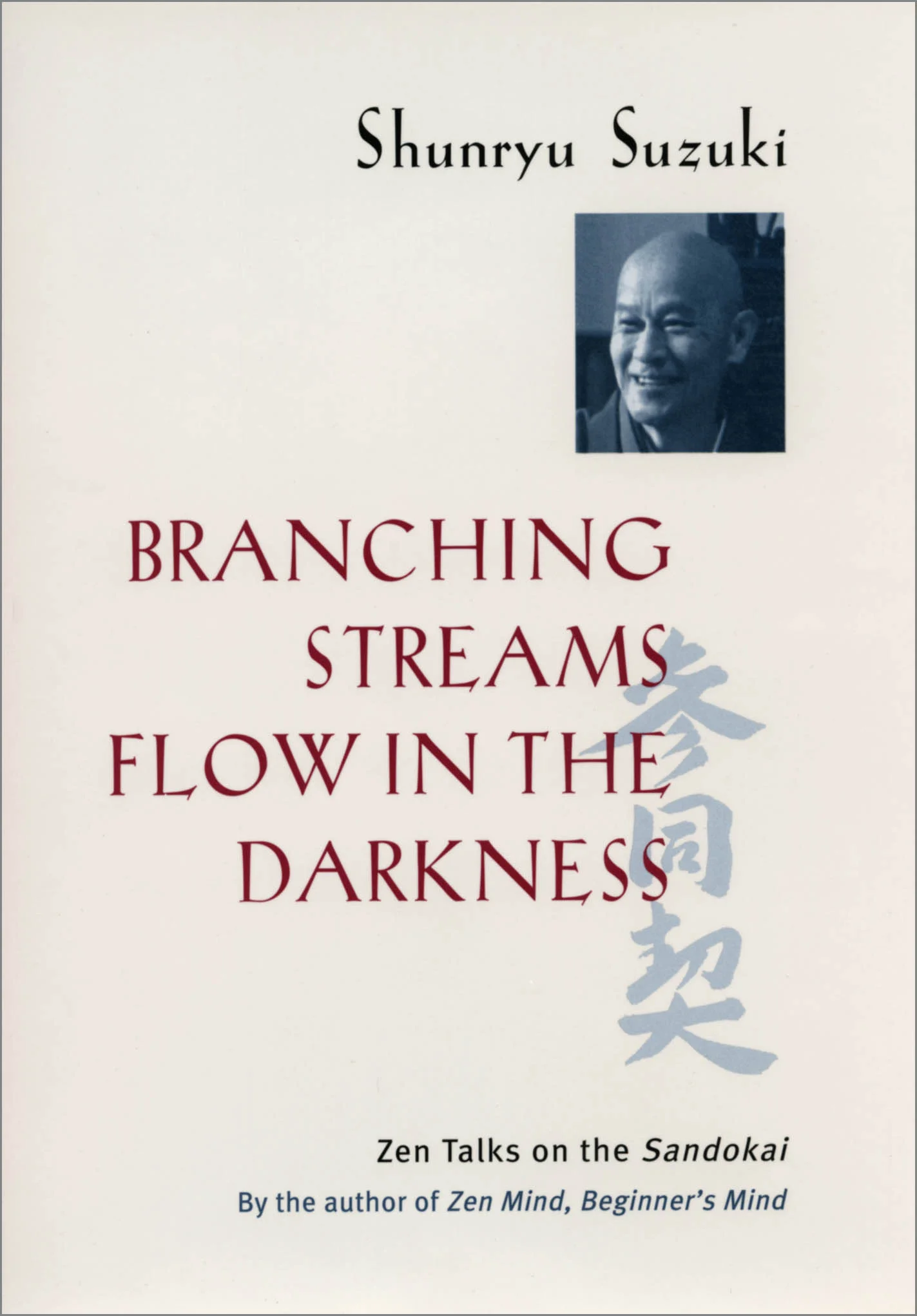 branching-streams-flow-in-the-darkness.jpg
