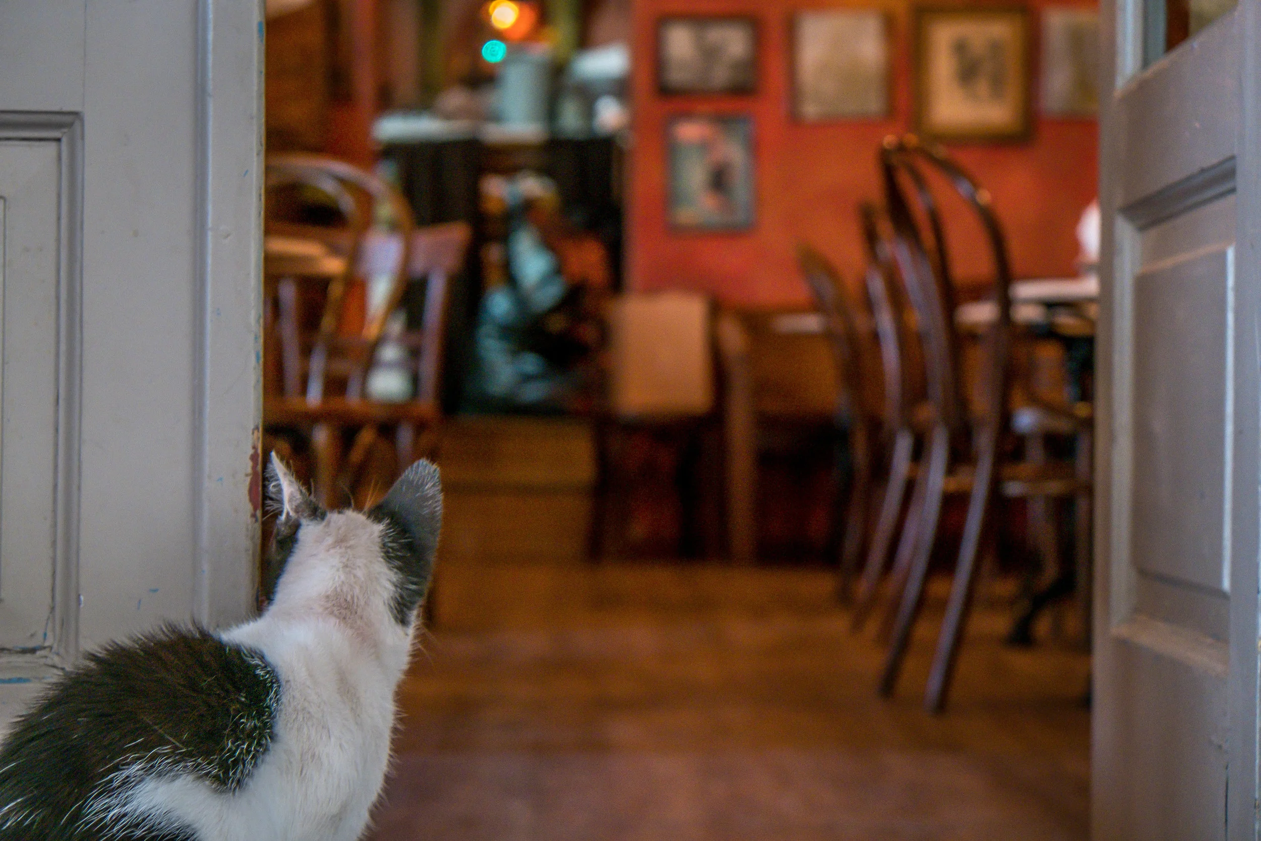 Three Days in Athens