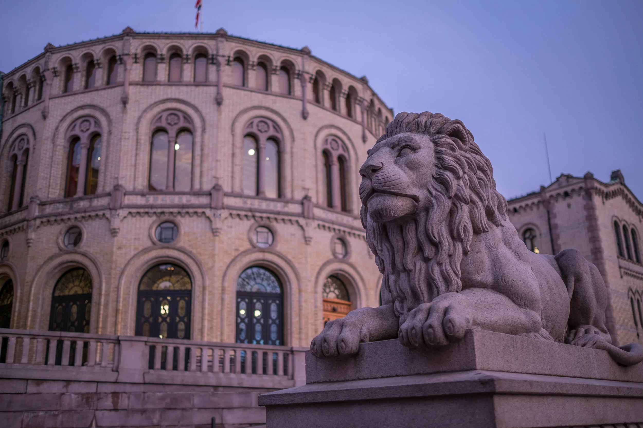 This Lion