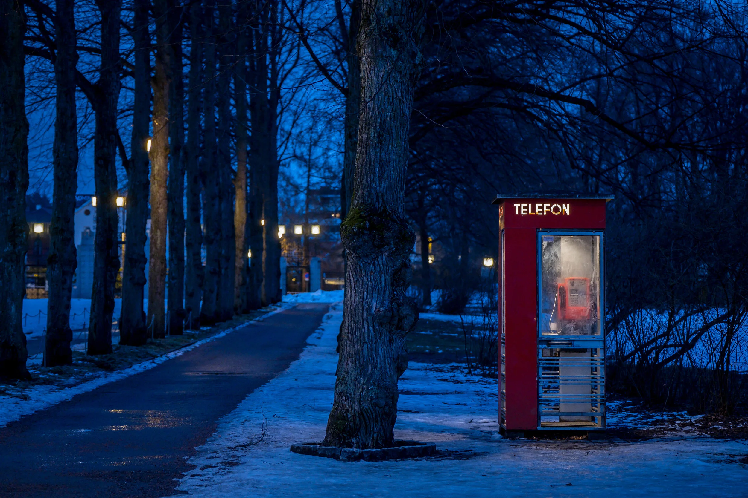 Snowy late night calls.