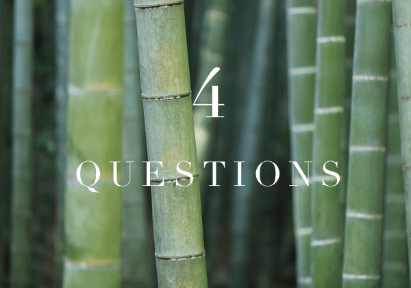 4 Questions to Spark Action & Decisions in the Face of Fear.