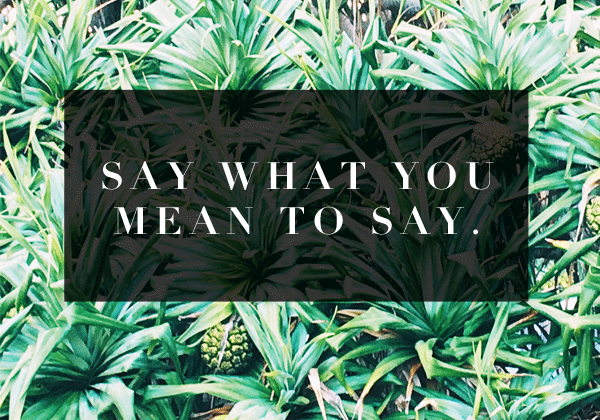 Say what you mean to say -