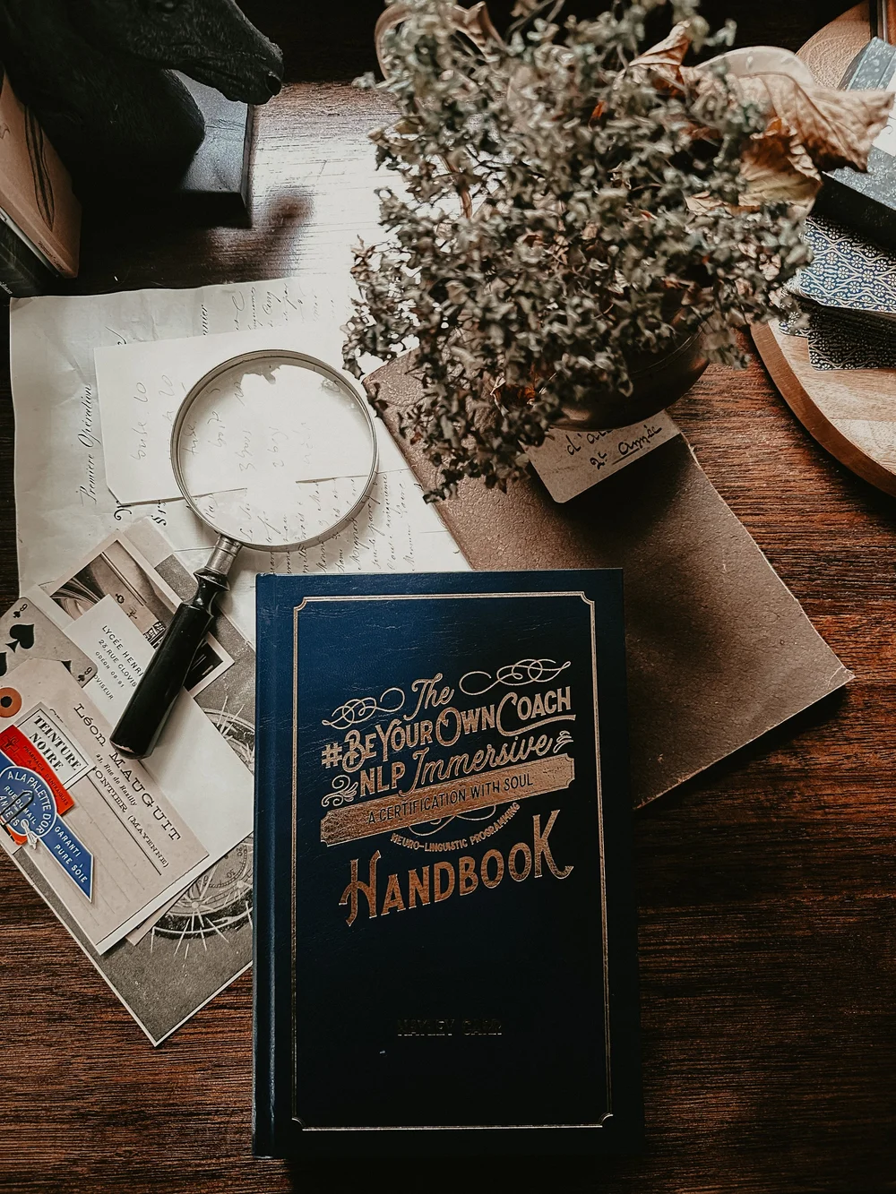 The Be Your Own Coach handbook