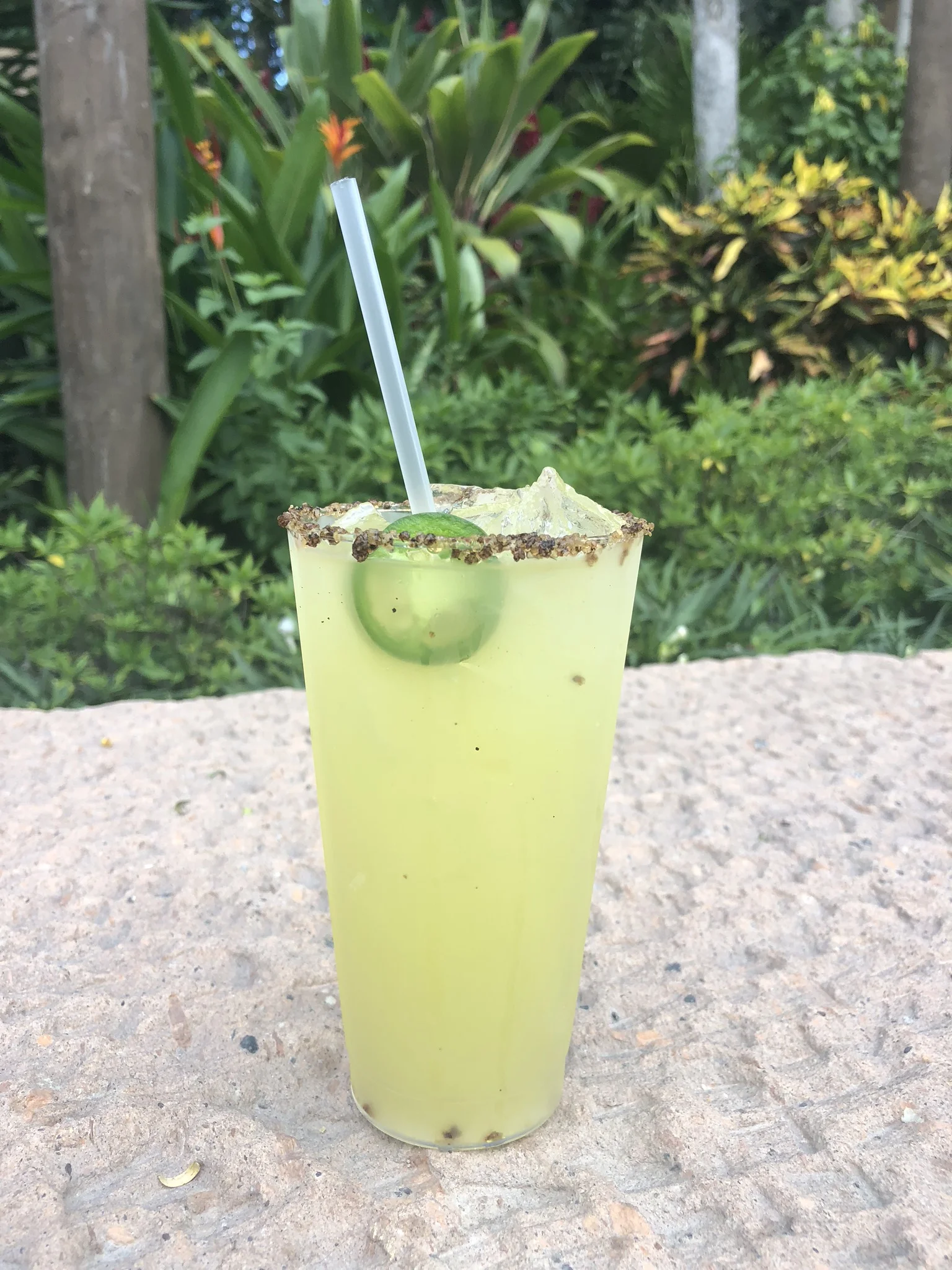 Friday Fives - Our Five Favorite Cocktails at Walt Disney World