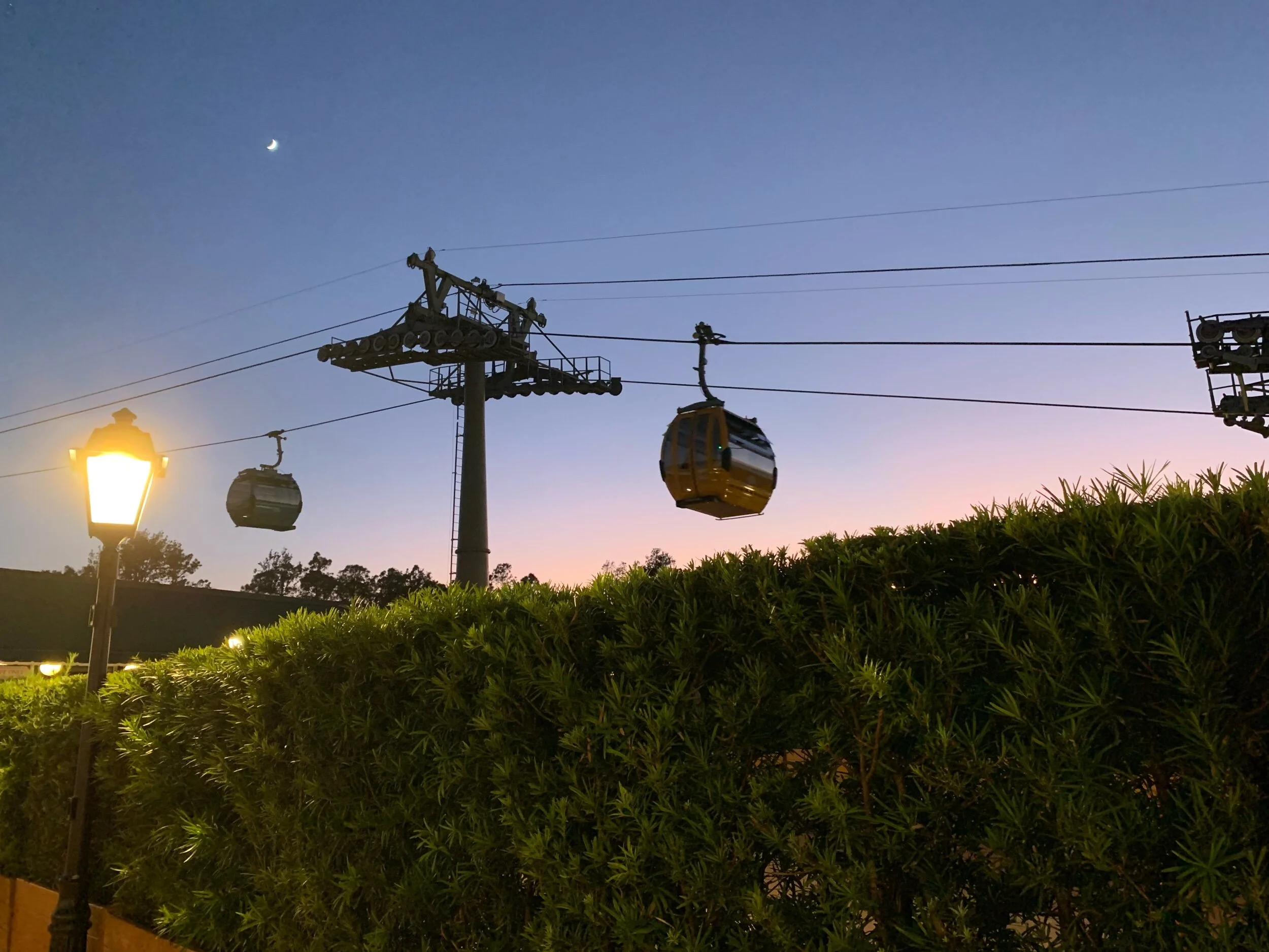 All About ... Navigating Walt Disney World's Transportation System