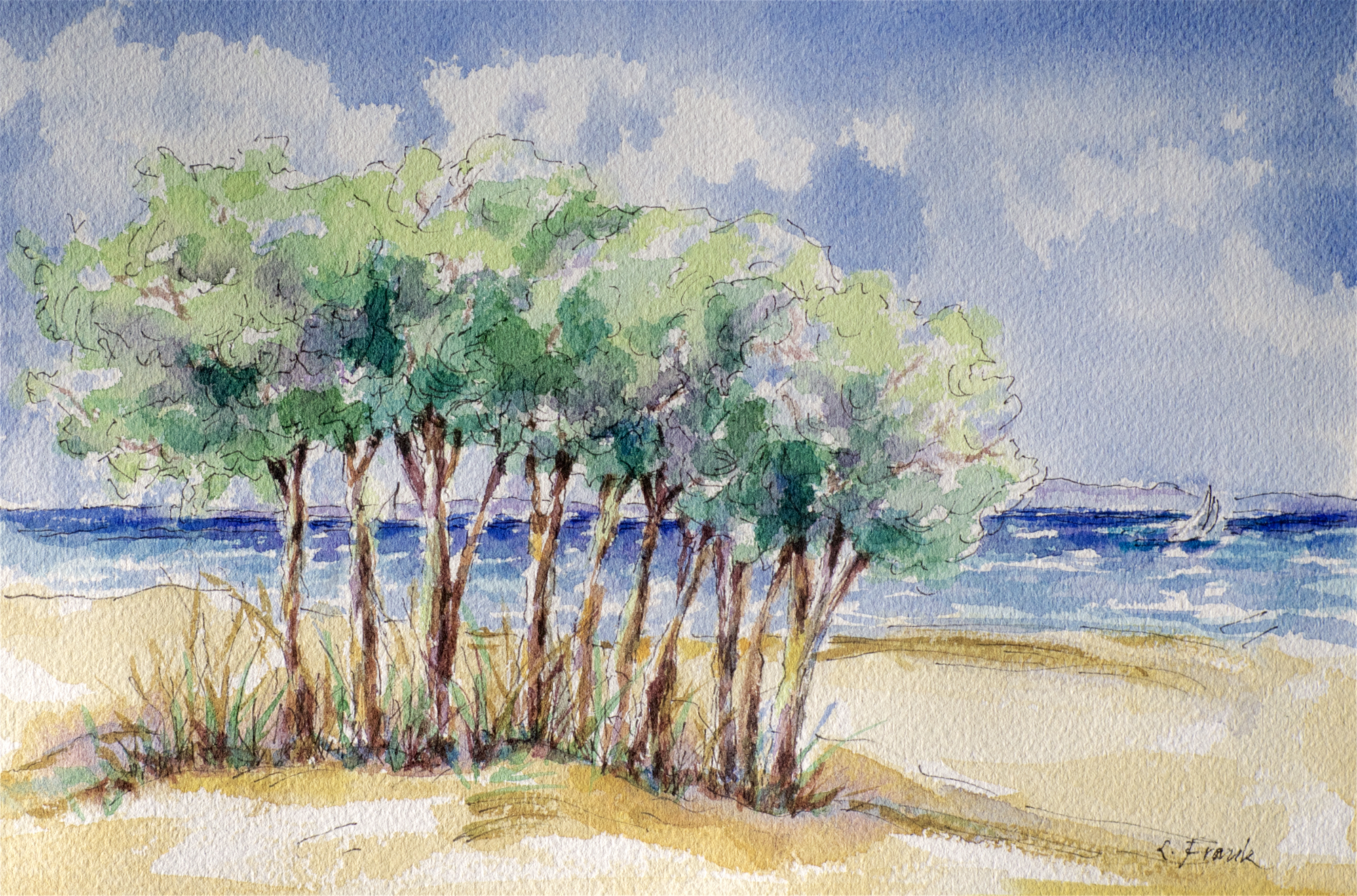 Tree Gathering, Compo Beach