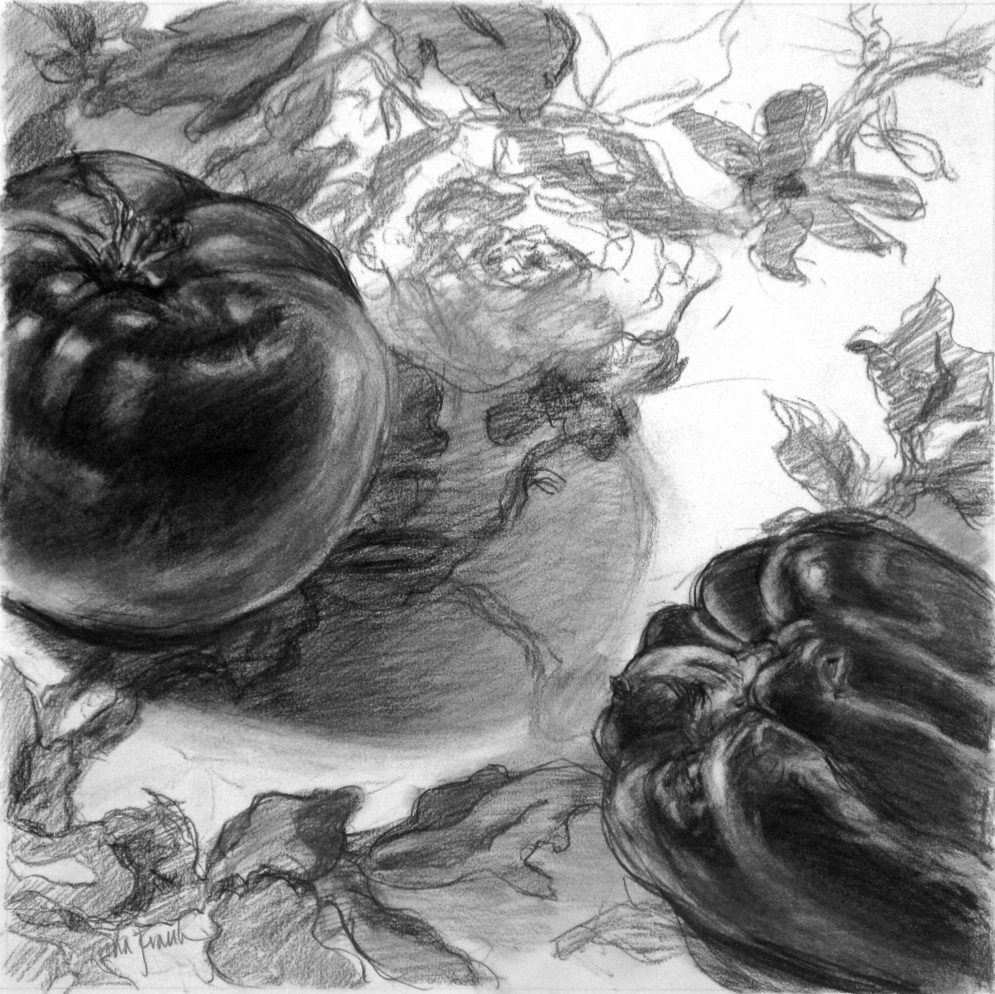 Tomato & Peppers