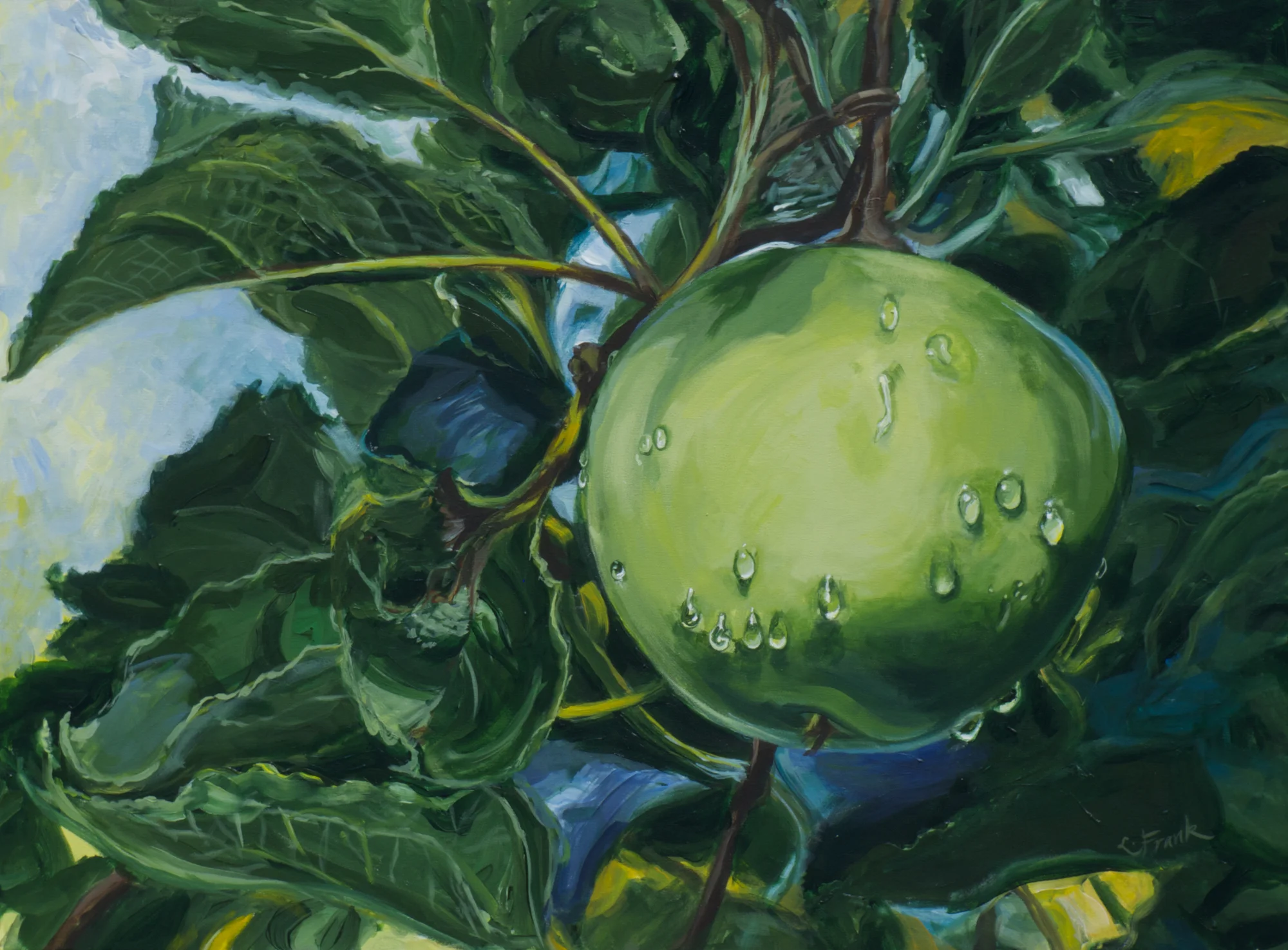 Apple with Raindrops, Weir Farm