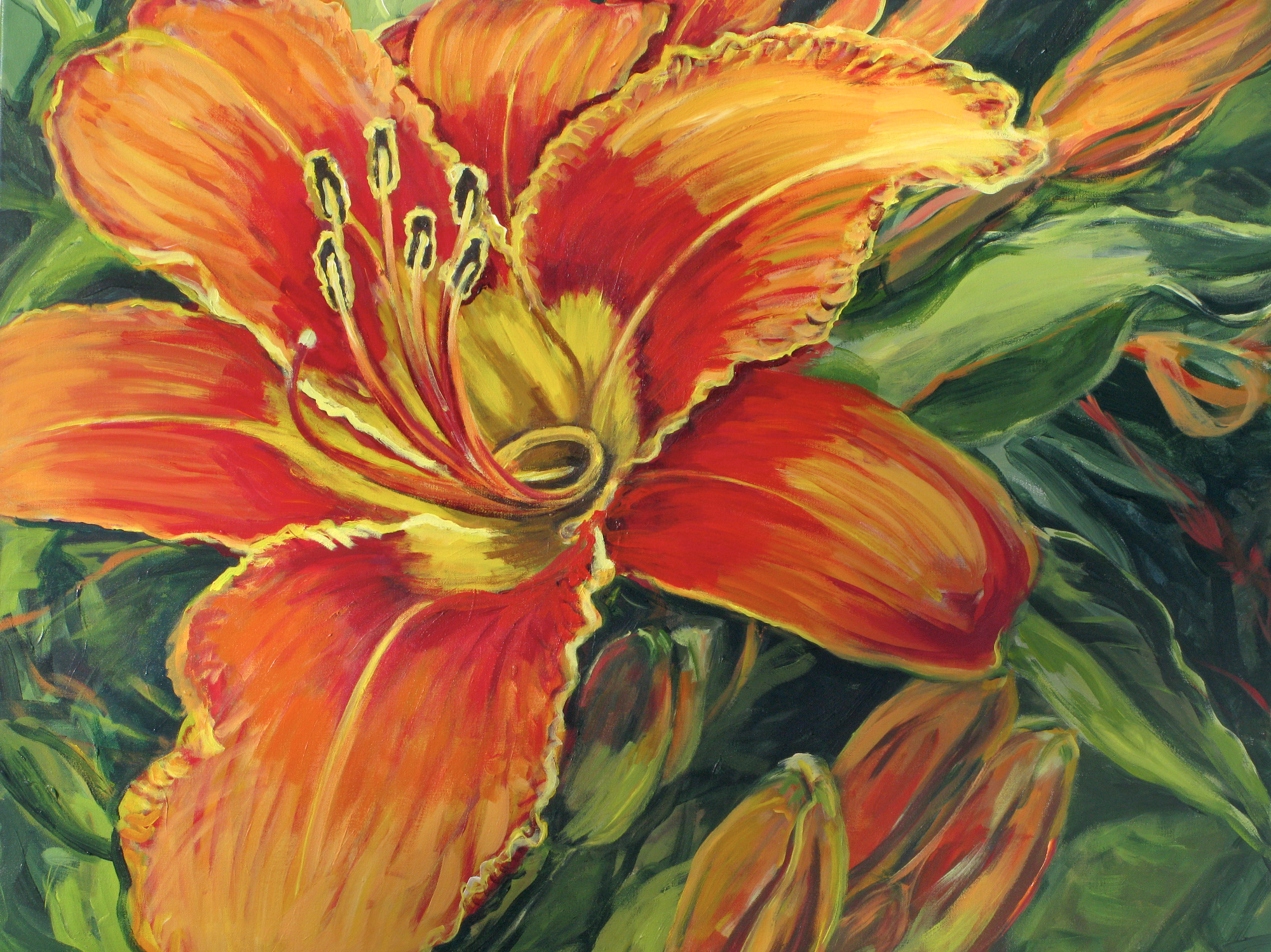 Day Lily, Outer Island