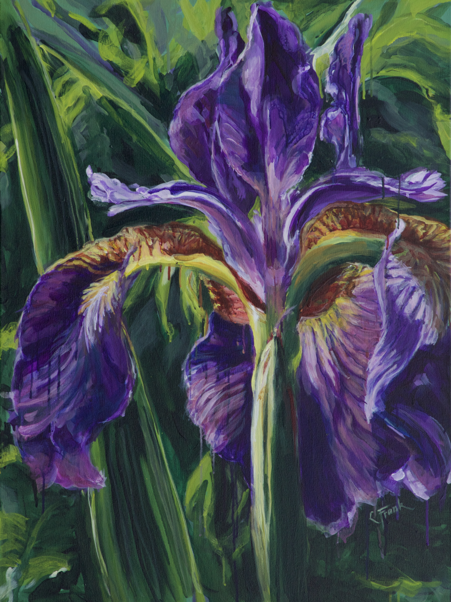 Purple Iris, Weir Farm
