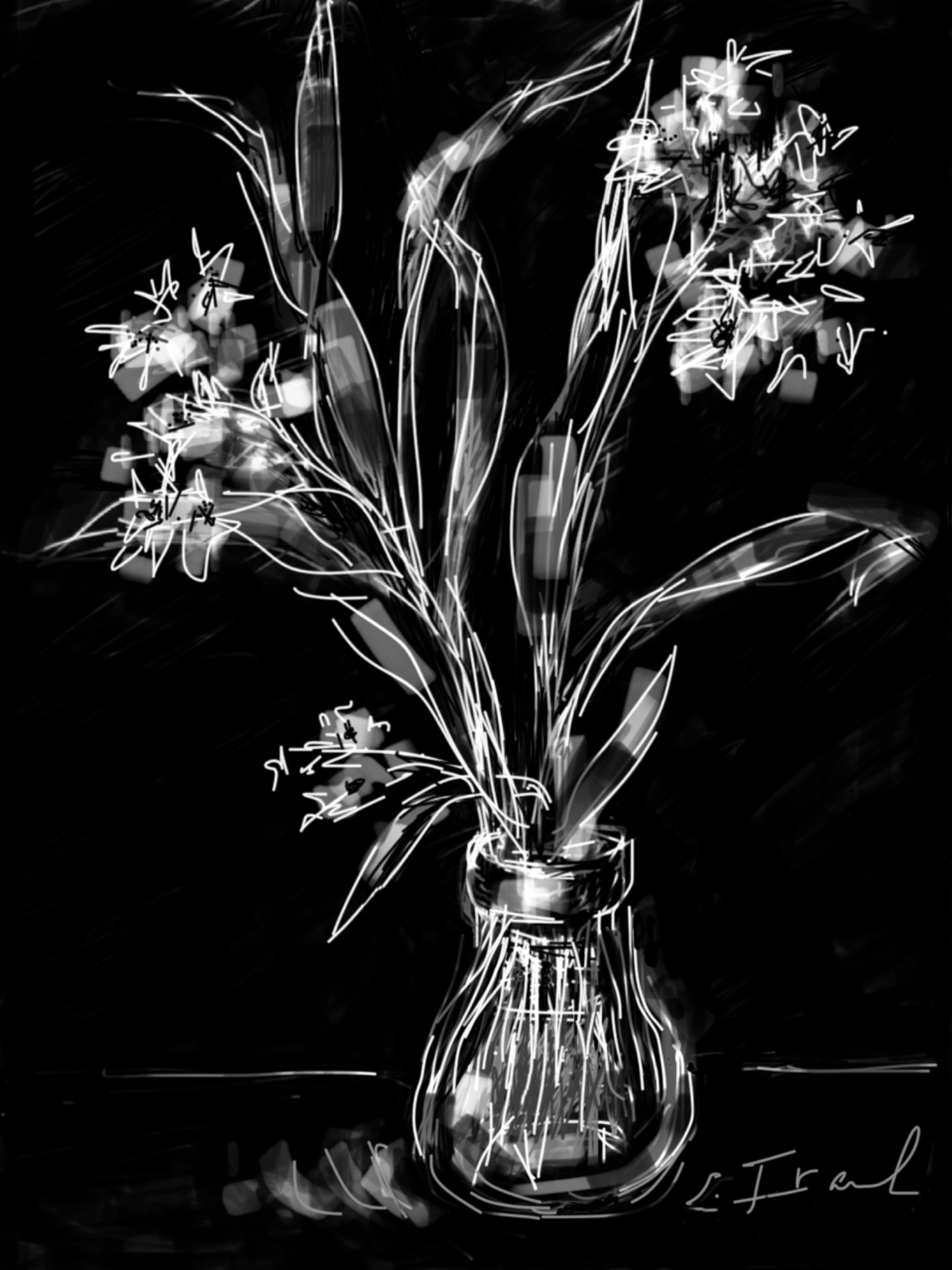 Paperwhites in Vase
