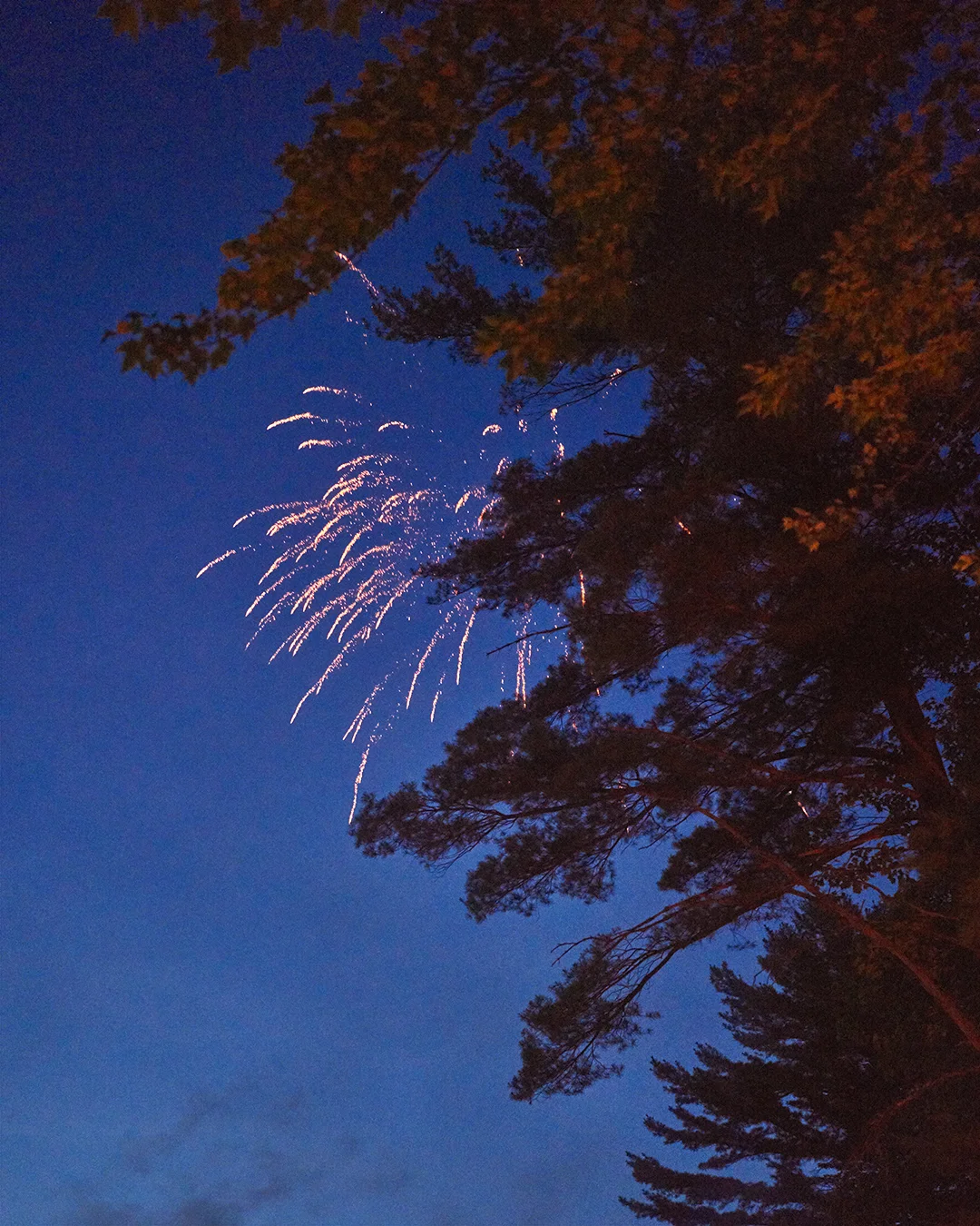 DSC02790_1080_WEB.jpg