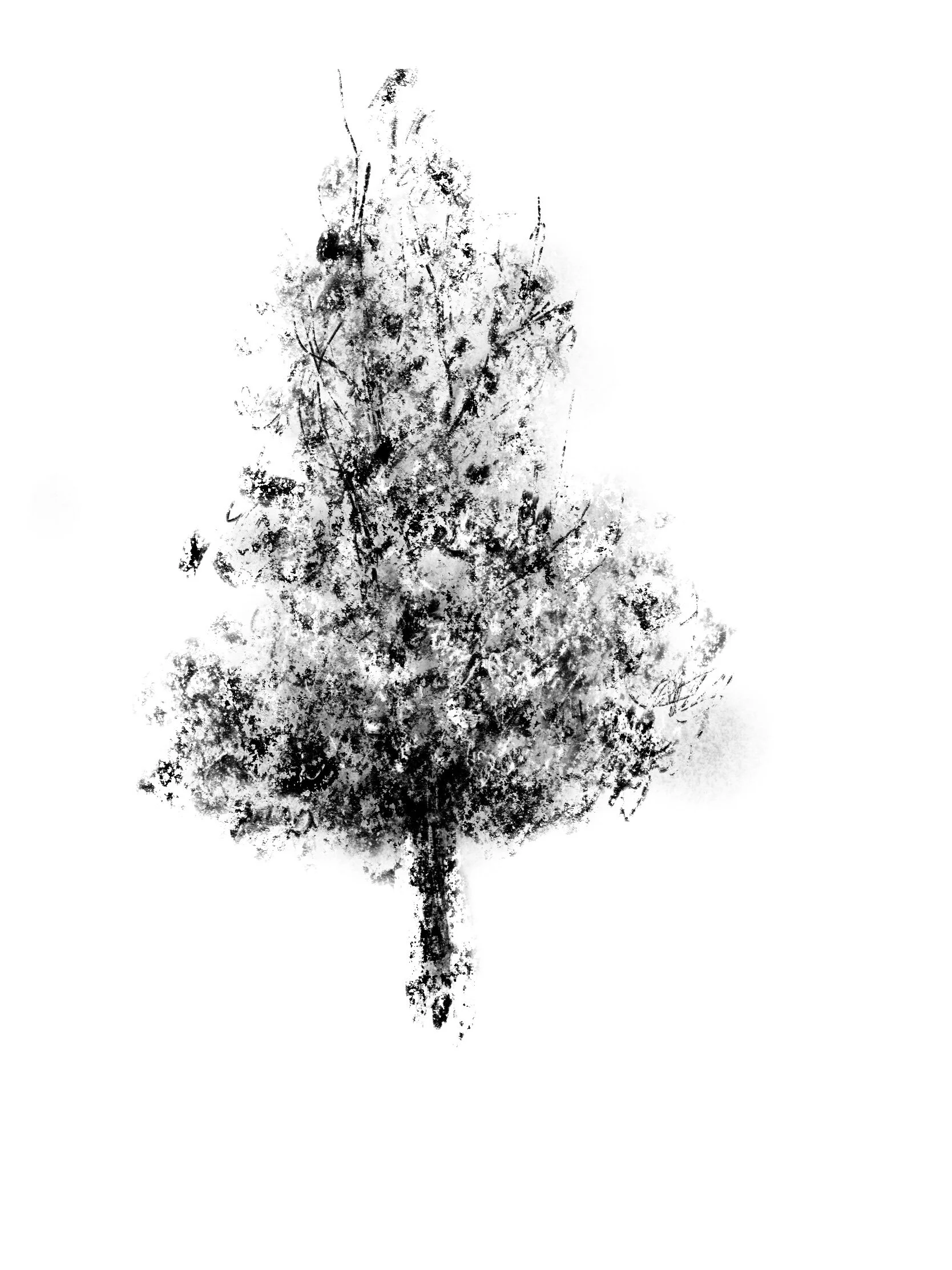 Untitled_Artwork 131.jpg