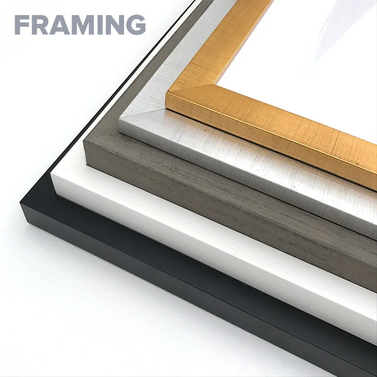 framing.jpg