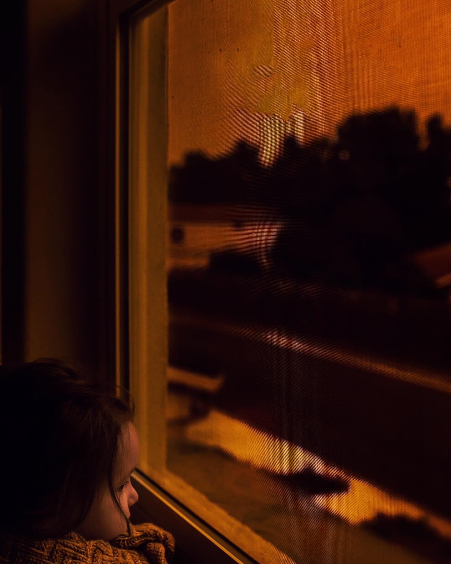Apocalypse skies out the window in wine country. (See my stories for the full vertical image) 
.
.
#unraveledacademy #santarosaphotographer #sonomacountystrong #sonomacountyphotographer #northbayphotographer 
.
#sm_windowlight #dearestviewfinder #tal