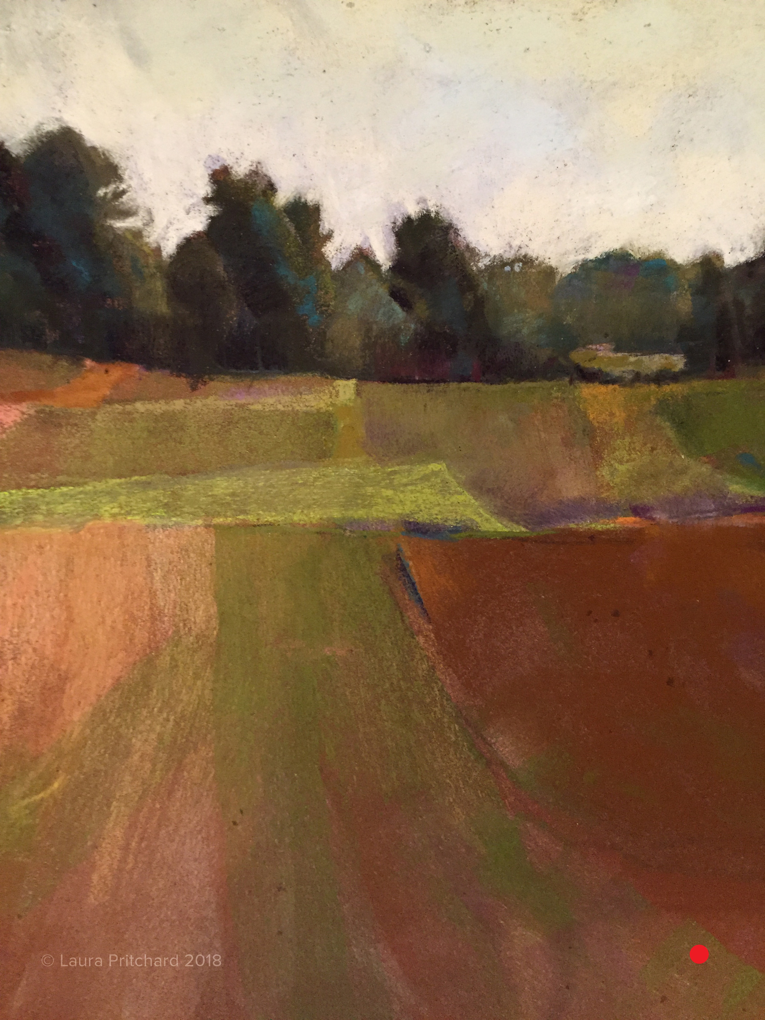 Sauvie Island Fields, 2016. Sold