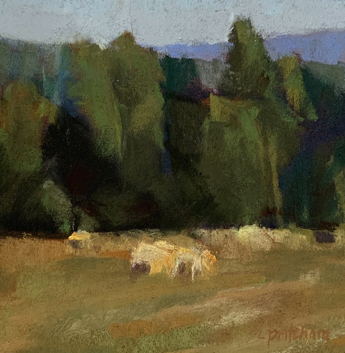 At the Edge of the Forest, 6x6, 2021