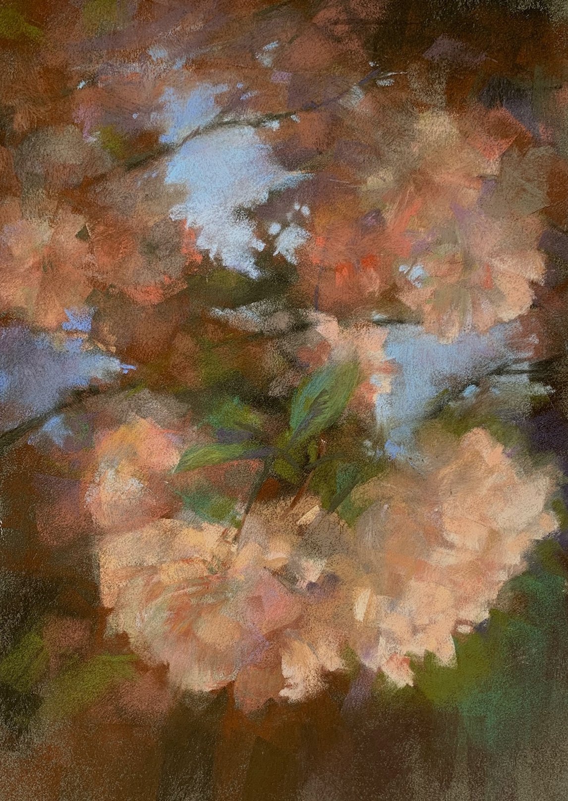 2025. Looking Up! 12x18 (18x24 framed)