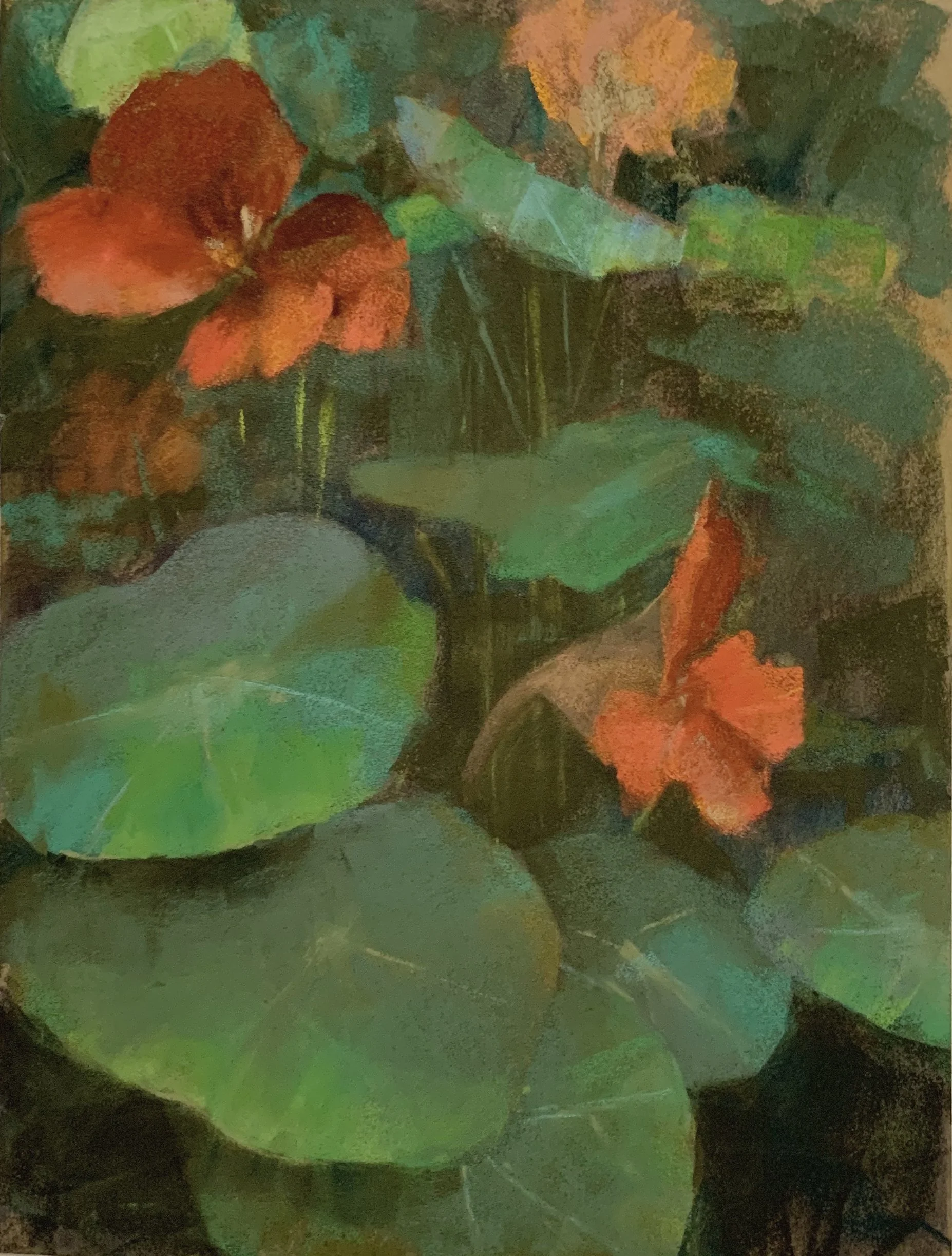 2025, September Nasturtiums, 9x12.5