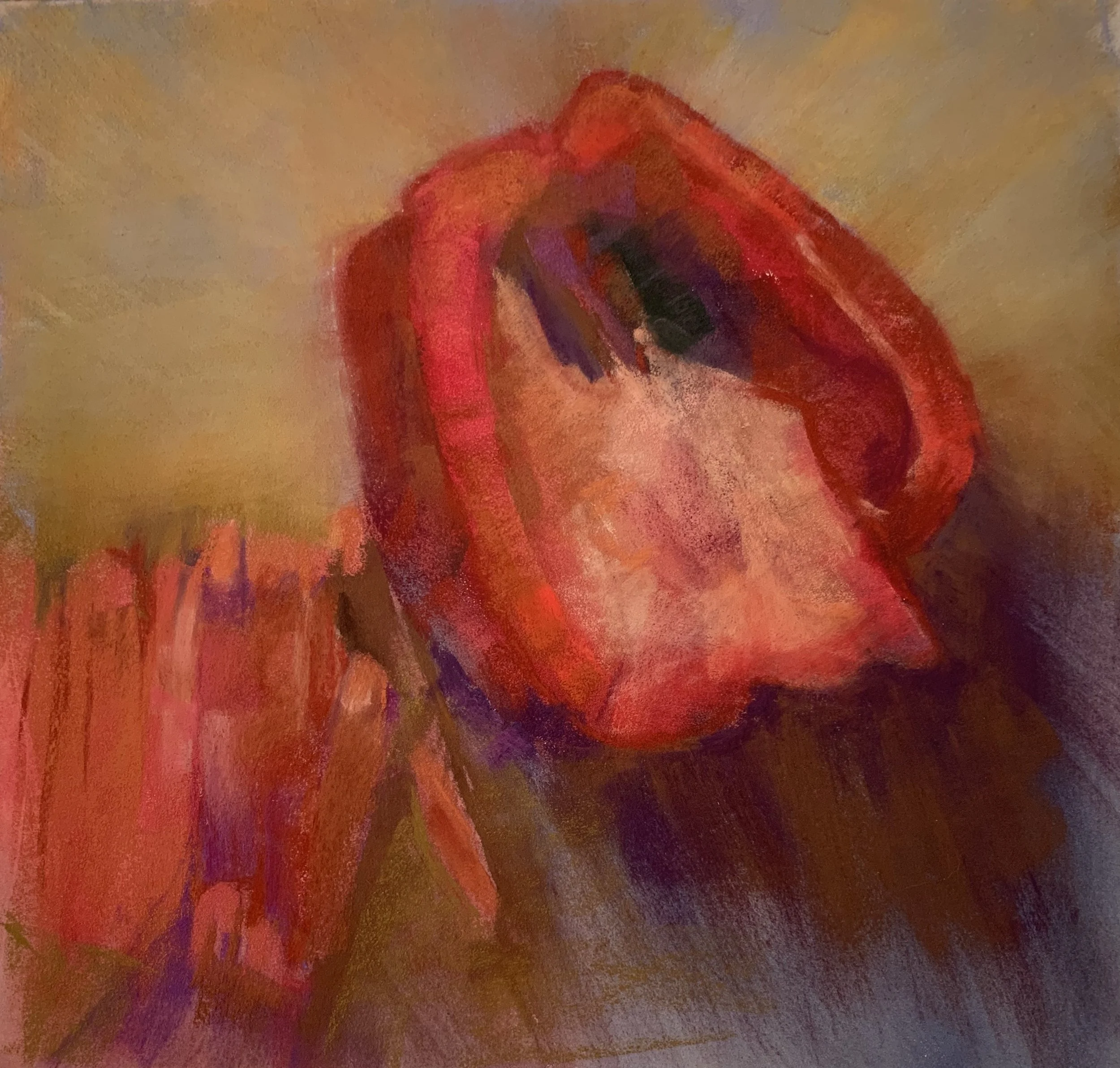 2025, Red Bell, about 9x9, soft pastel with watercolor on Canson velvet cream.
