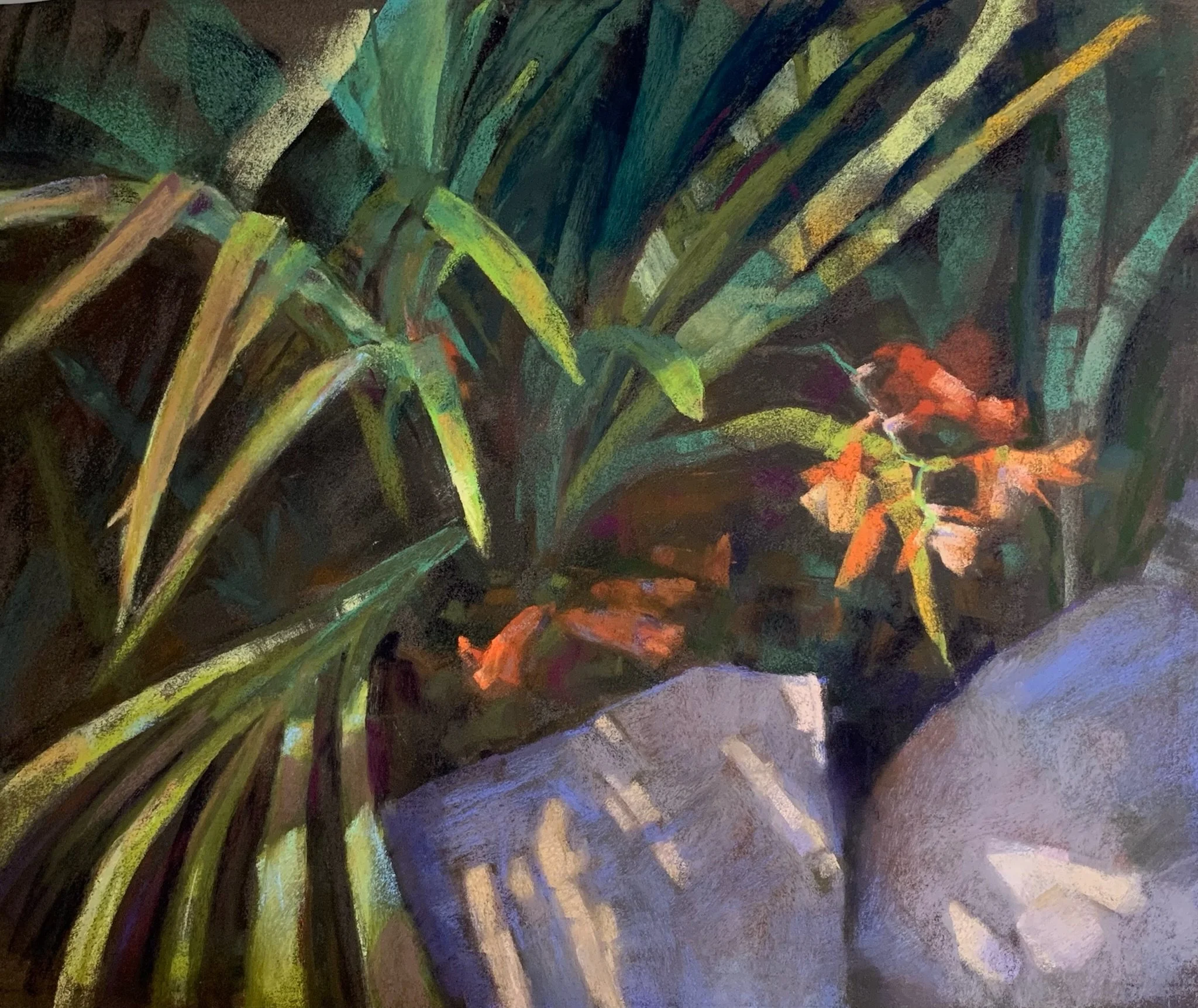 2026, Sunlit Crocosmia, 17x20, soft pastel on LaCarte