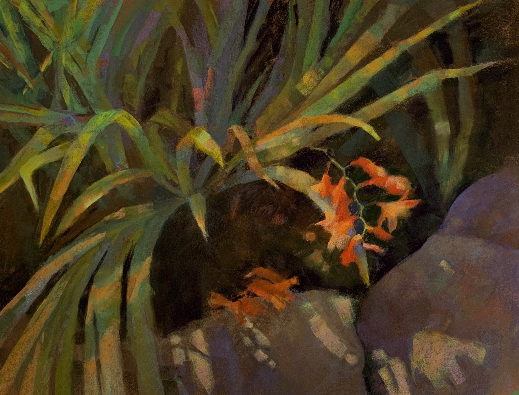 A painting of crocosmia in dappled light
