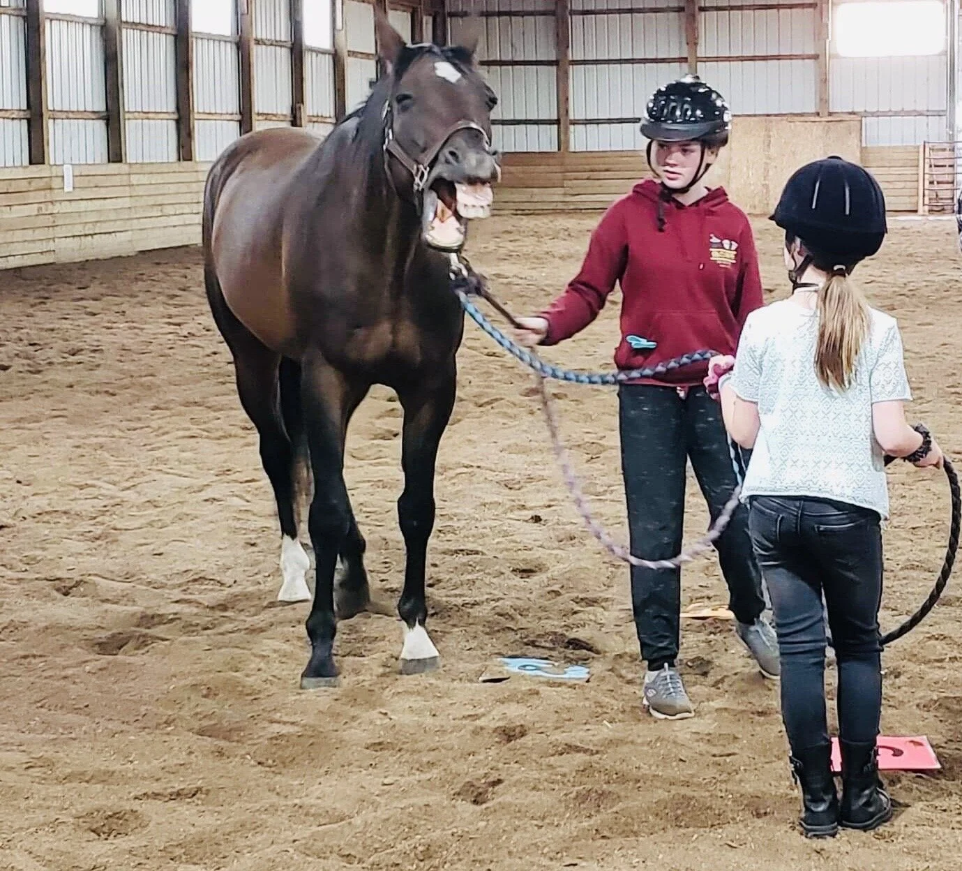 Equine Assisted Life Skills Development programs for Adults and Youth