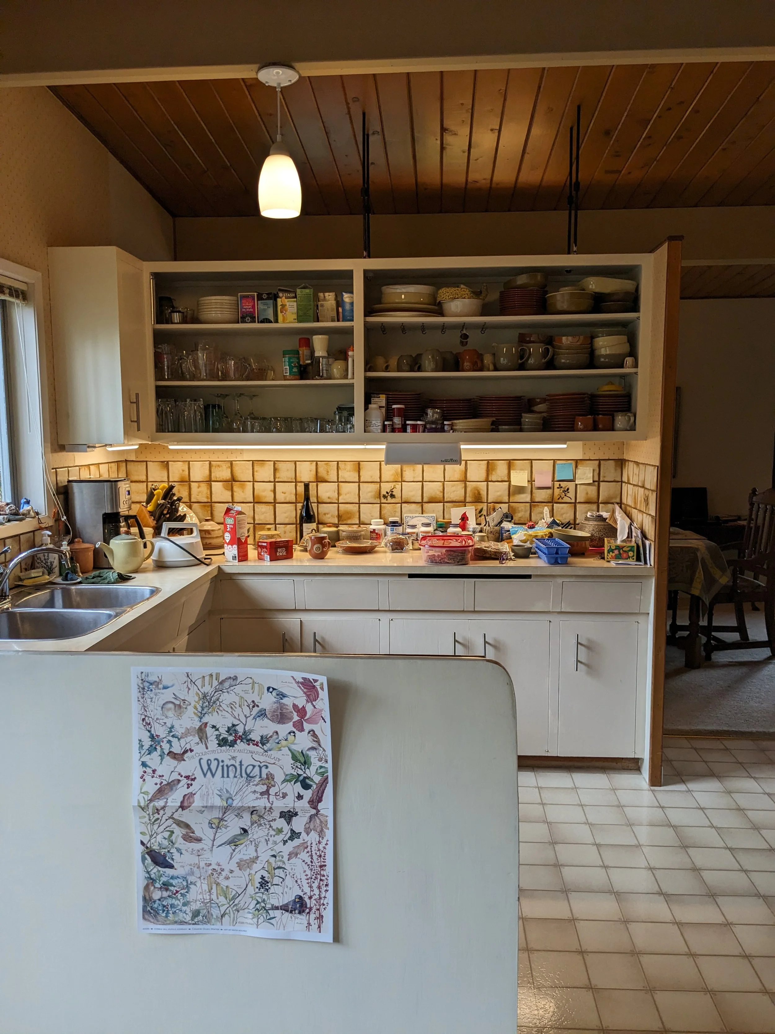 Before Renovation