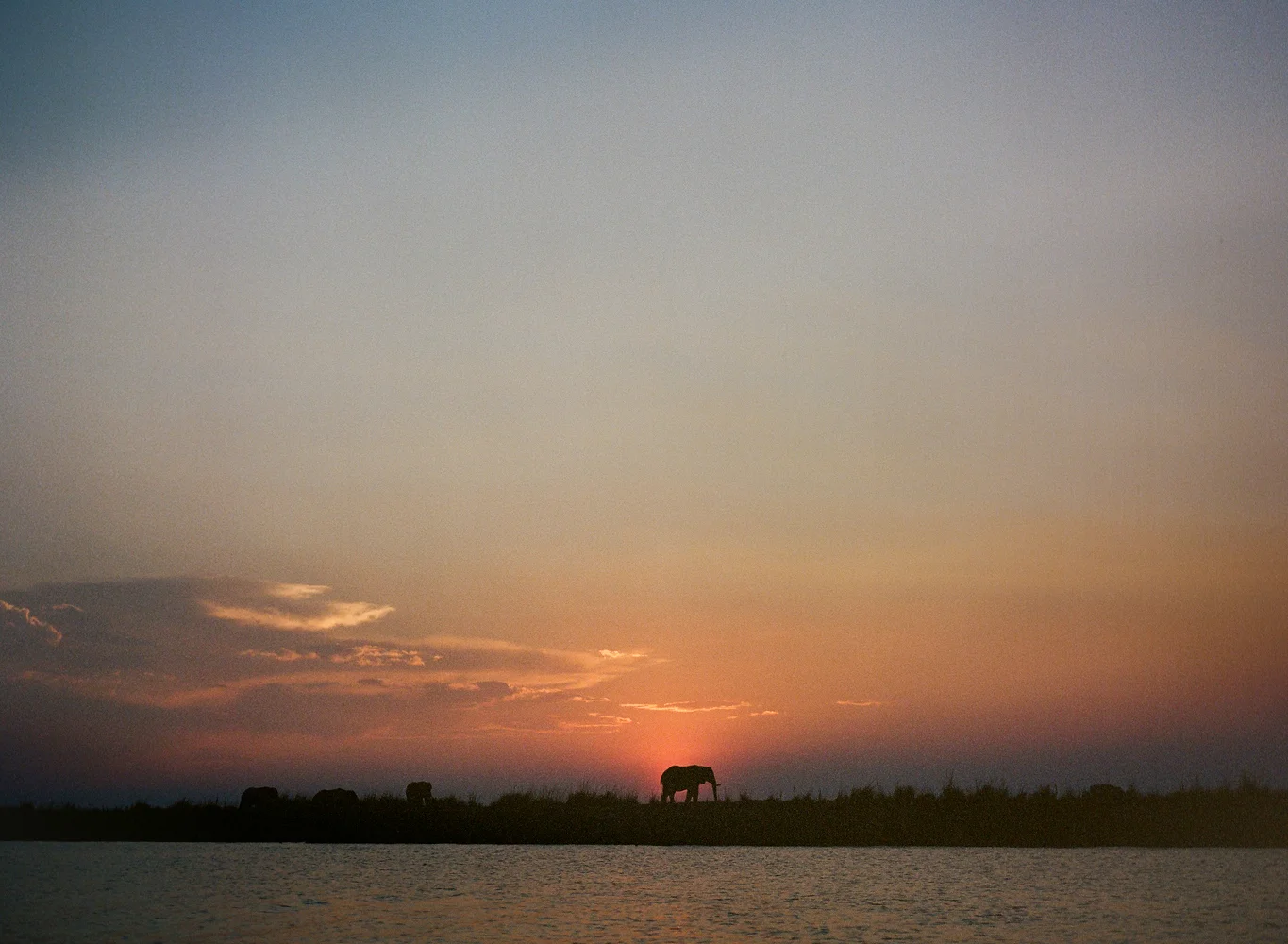 chobe national park, botswana, africa