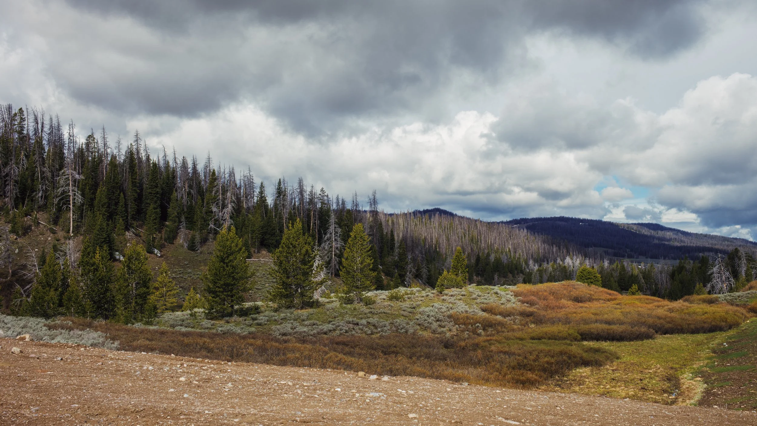 Tetons-3.jpg