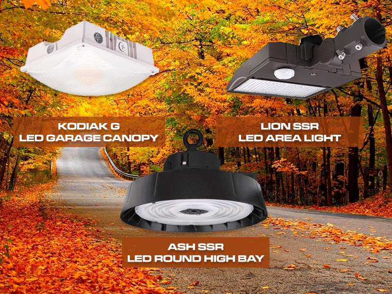 MES Fall Lighting GIF