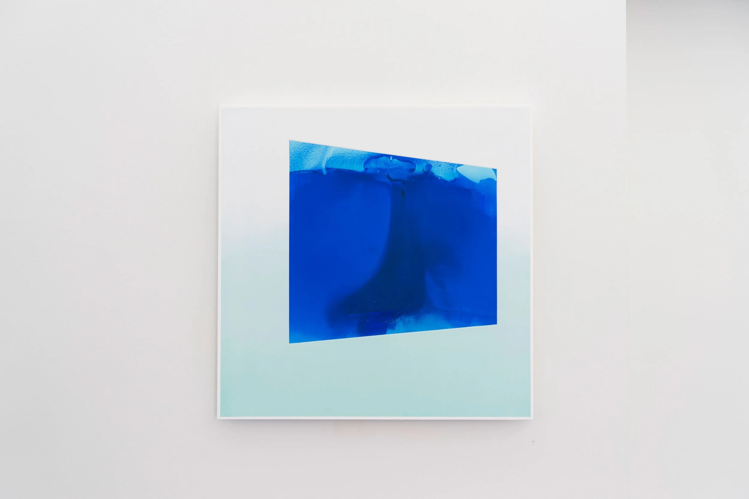 Michelle Eskola. Conceal Suspend 2015.