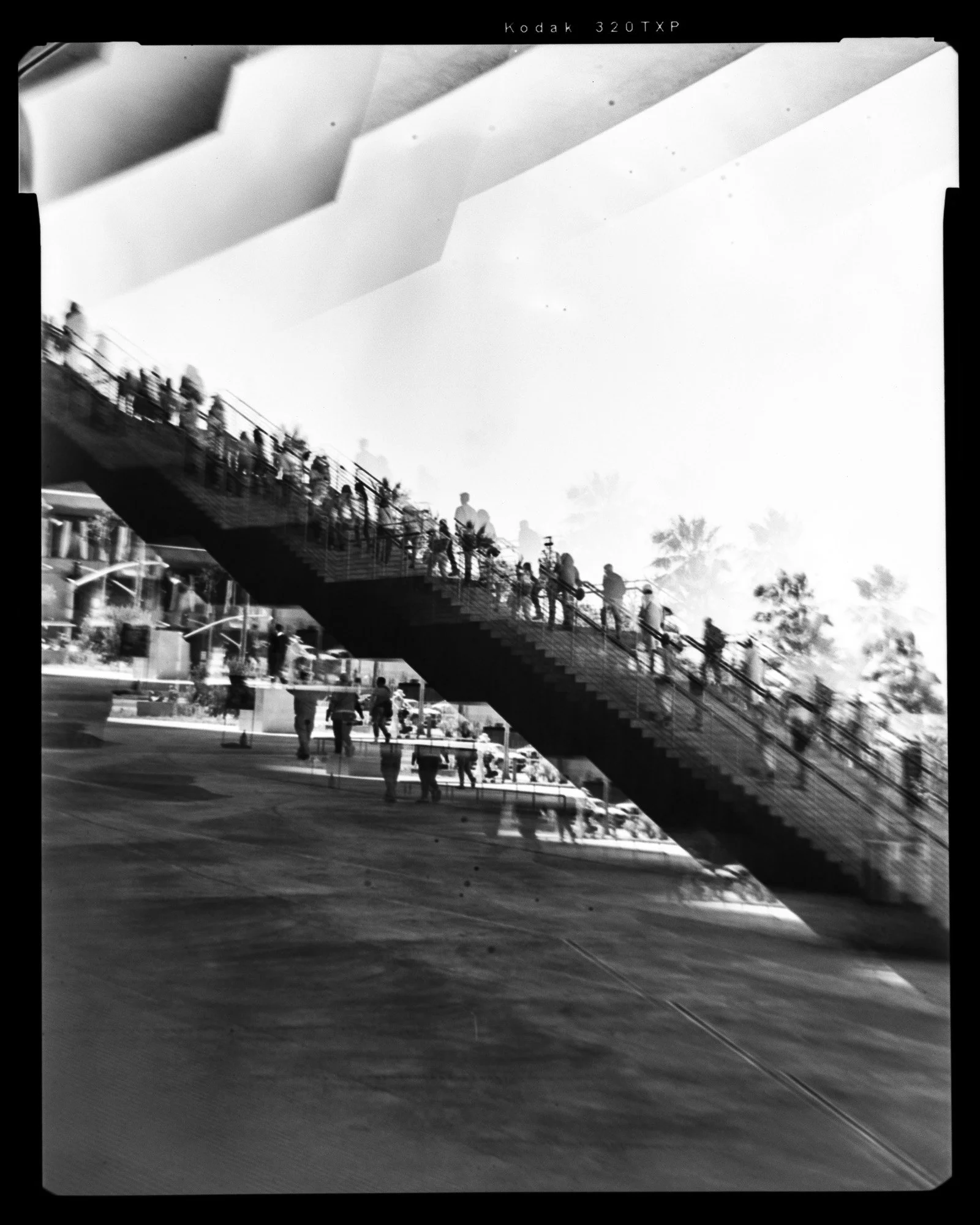 Ireland-LACMA-6125.jpg