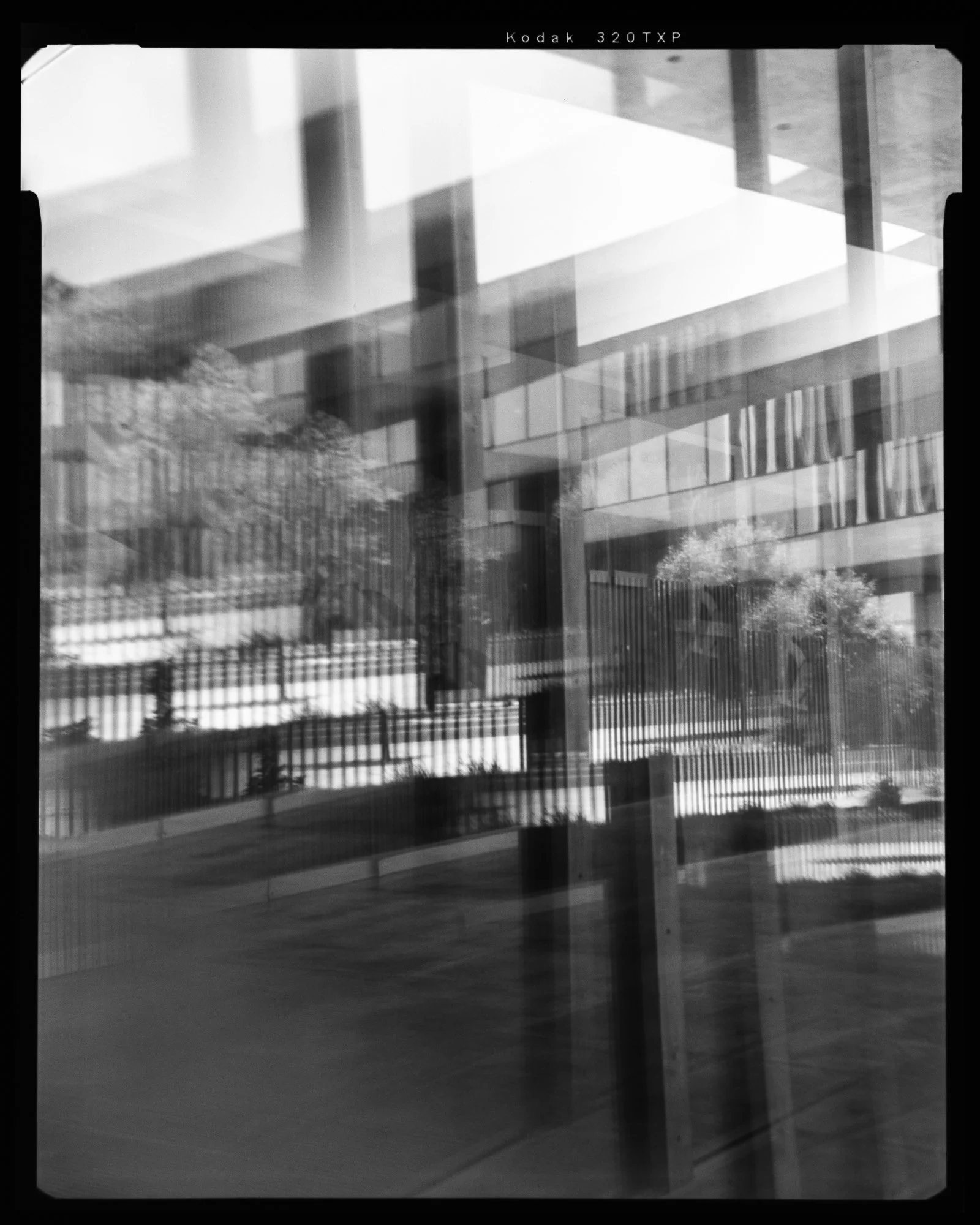 Ireland-LACMA-6127.jpg